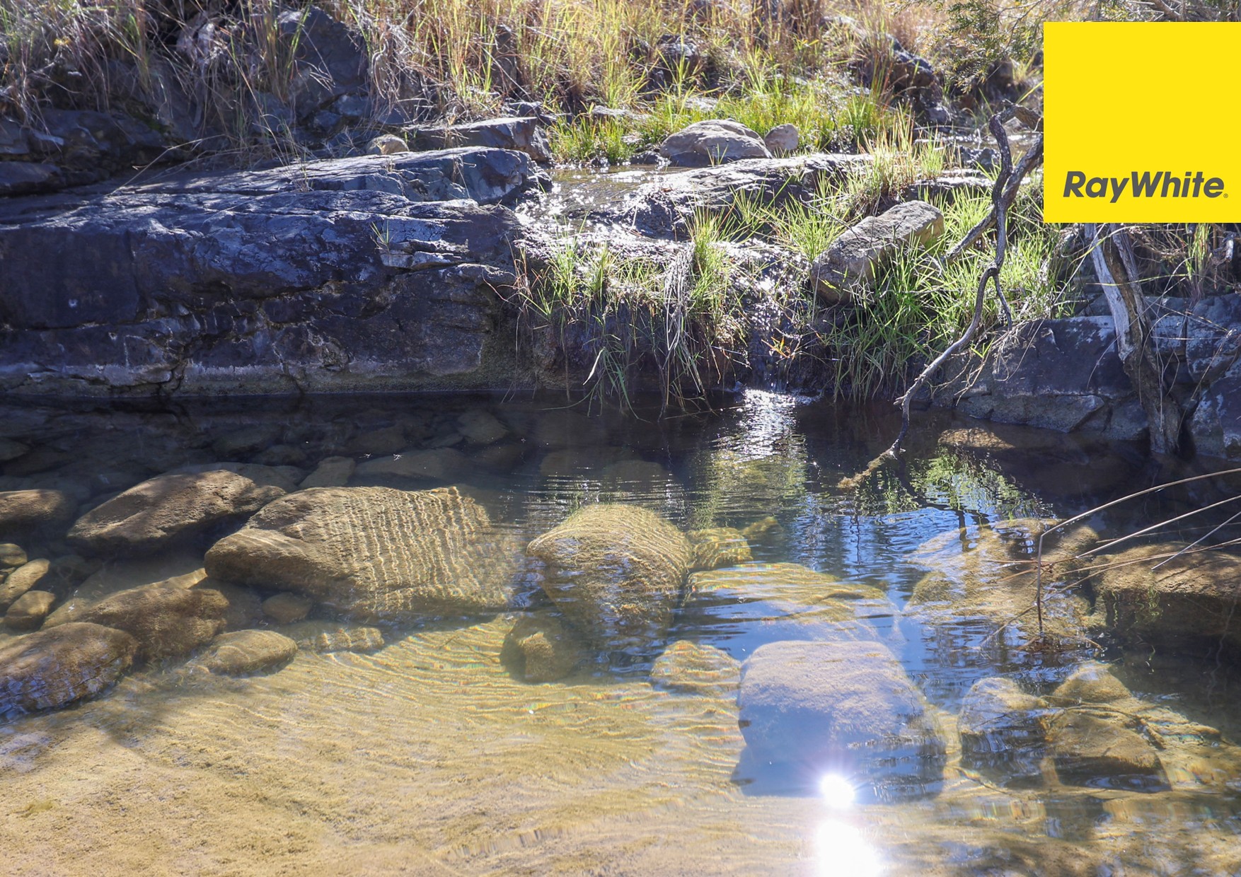 600 Blyths Lane, Delungra For Sale by Farmbuy.com - image 5