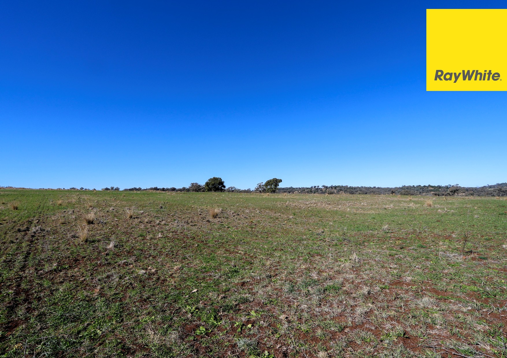 600 Blyths Lane, Delungra For Sale by Farmbuy.com - image 8