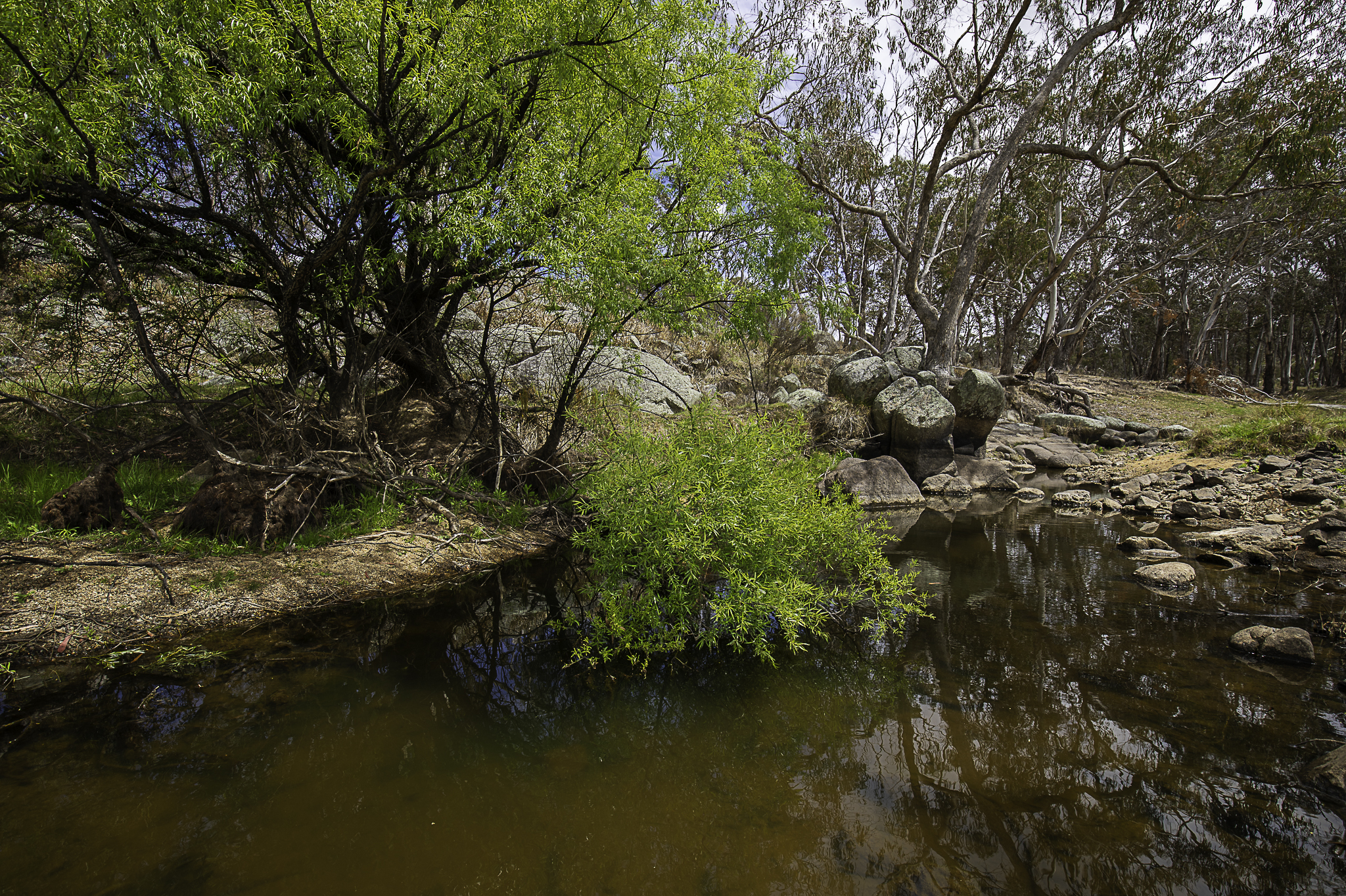 "Araluen" 11623 New England Highway, Armidale Tender by Farmbuy.com - image 26