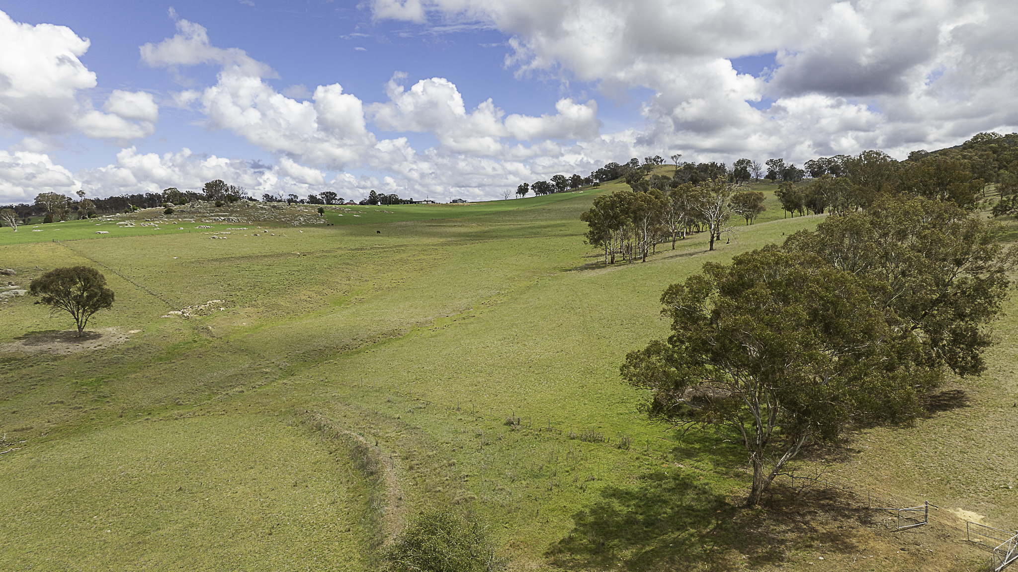 "Araluen" 11623 New England Highway, Armidale Tender by Farmbuy.com - image 27