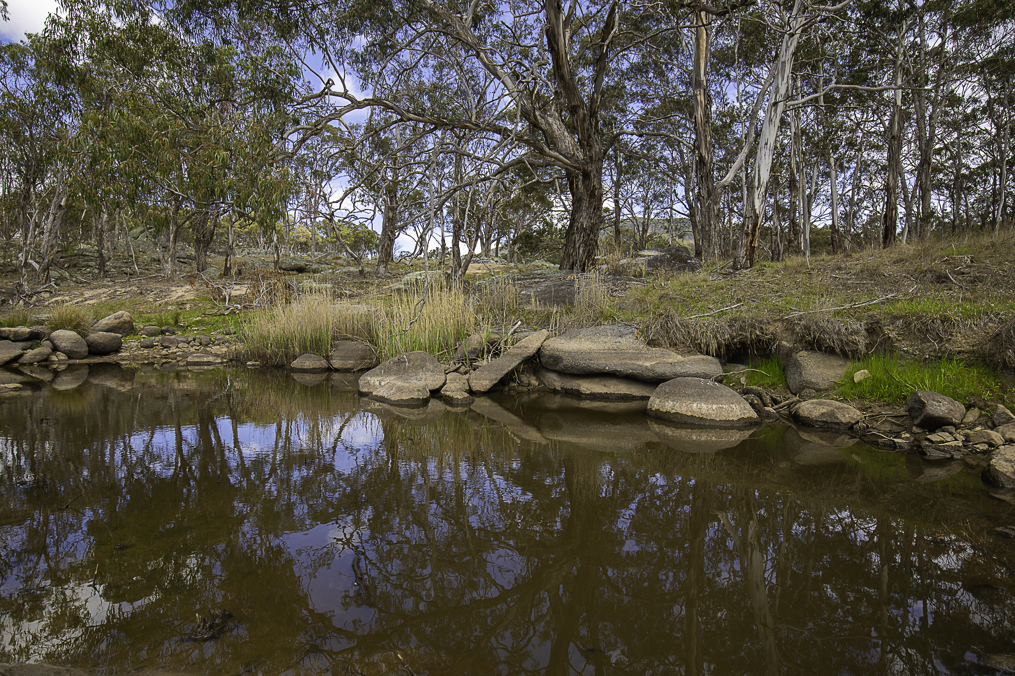 "Araluen" 11623 New England Highway, Armidale Tender by Farmbuy.com - image 28