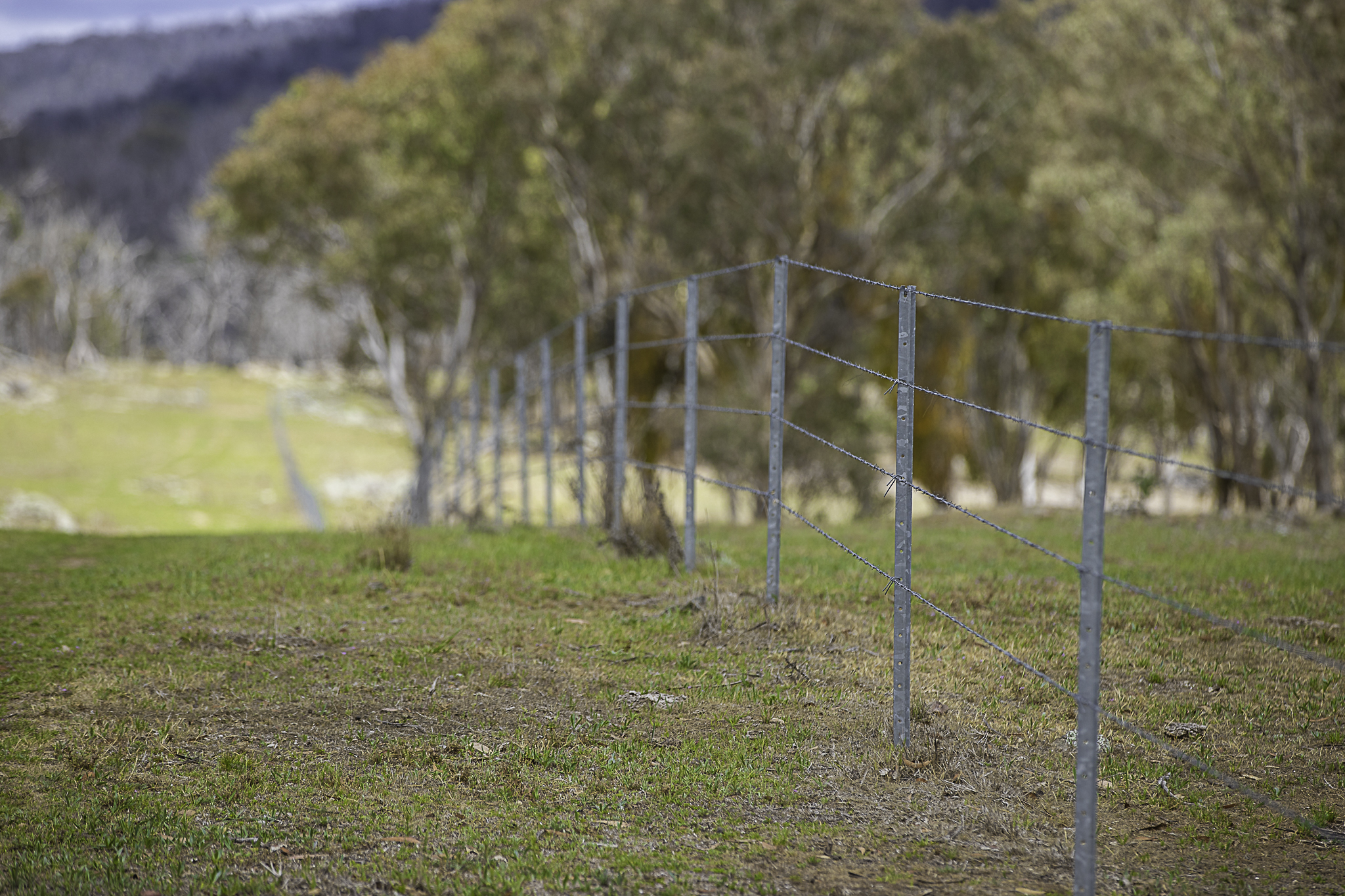 "Araluen" 11623 New England Highway, Armidale Tender by Farmbuy.com - image 33