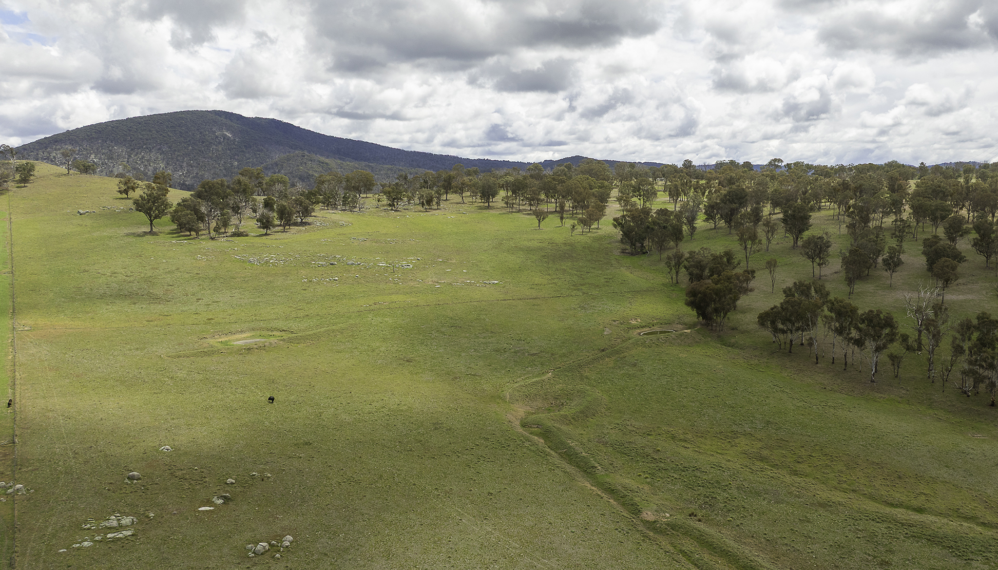 "Araluen" 11623 New England Highway, Armidale Tender by Farmbuy.com - image 29