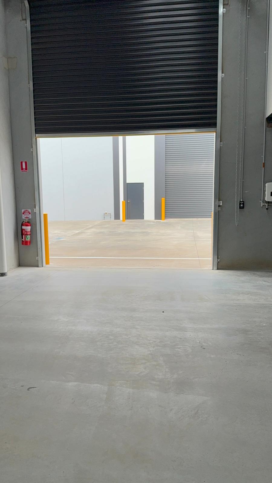 Extreme close up of a plant with flat leaves with rounded sides and pointy tips.