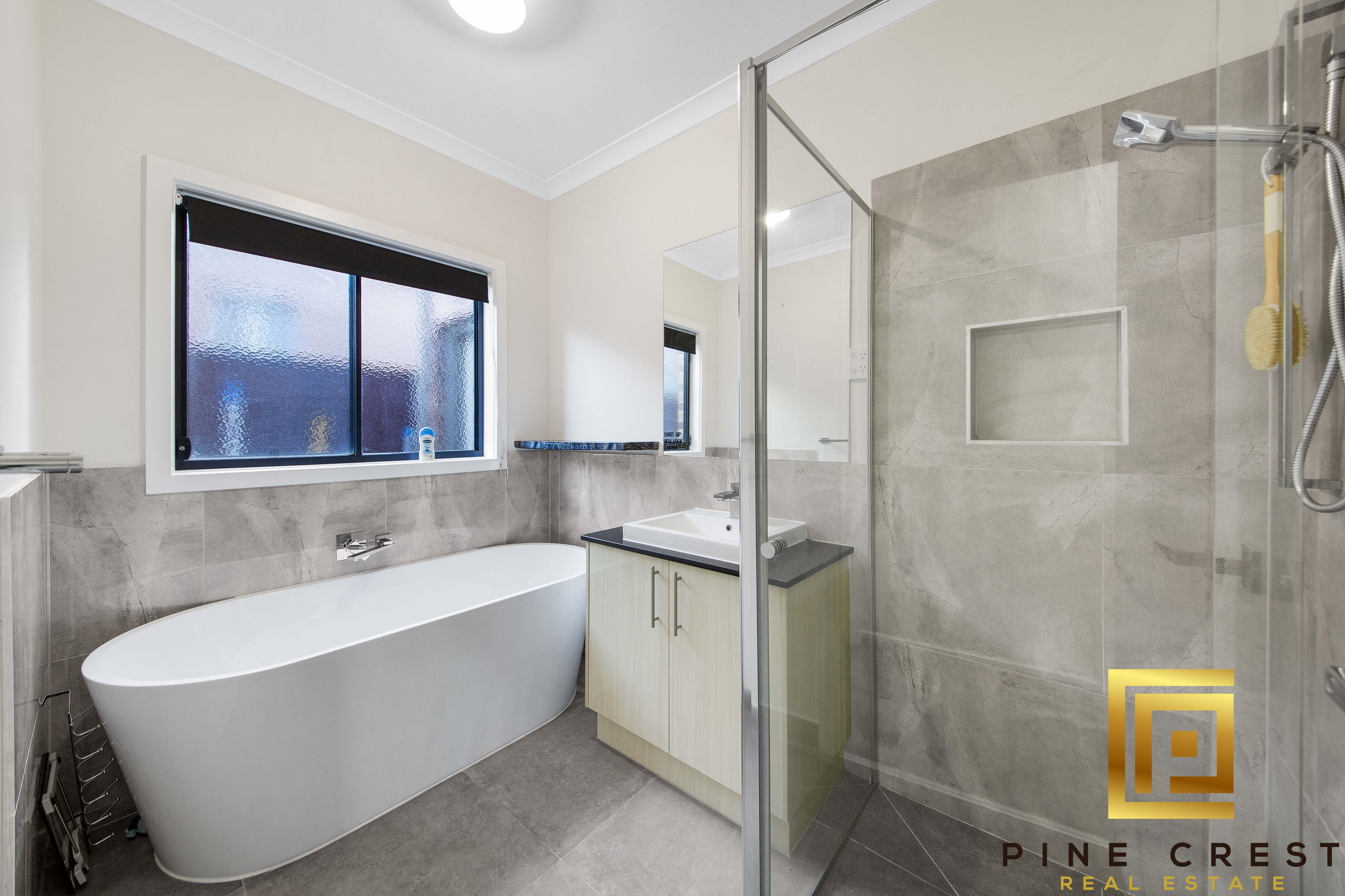 Extreme close up of a plant with flat leaves with rounded sides and pointy tips.