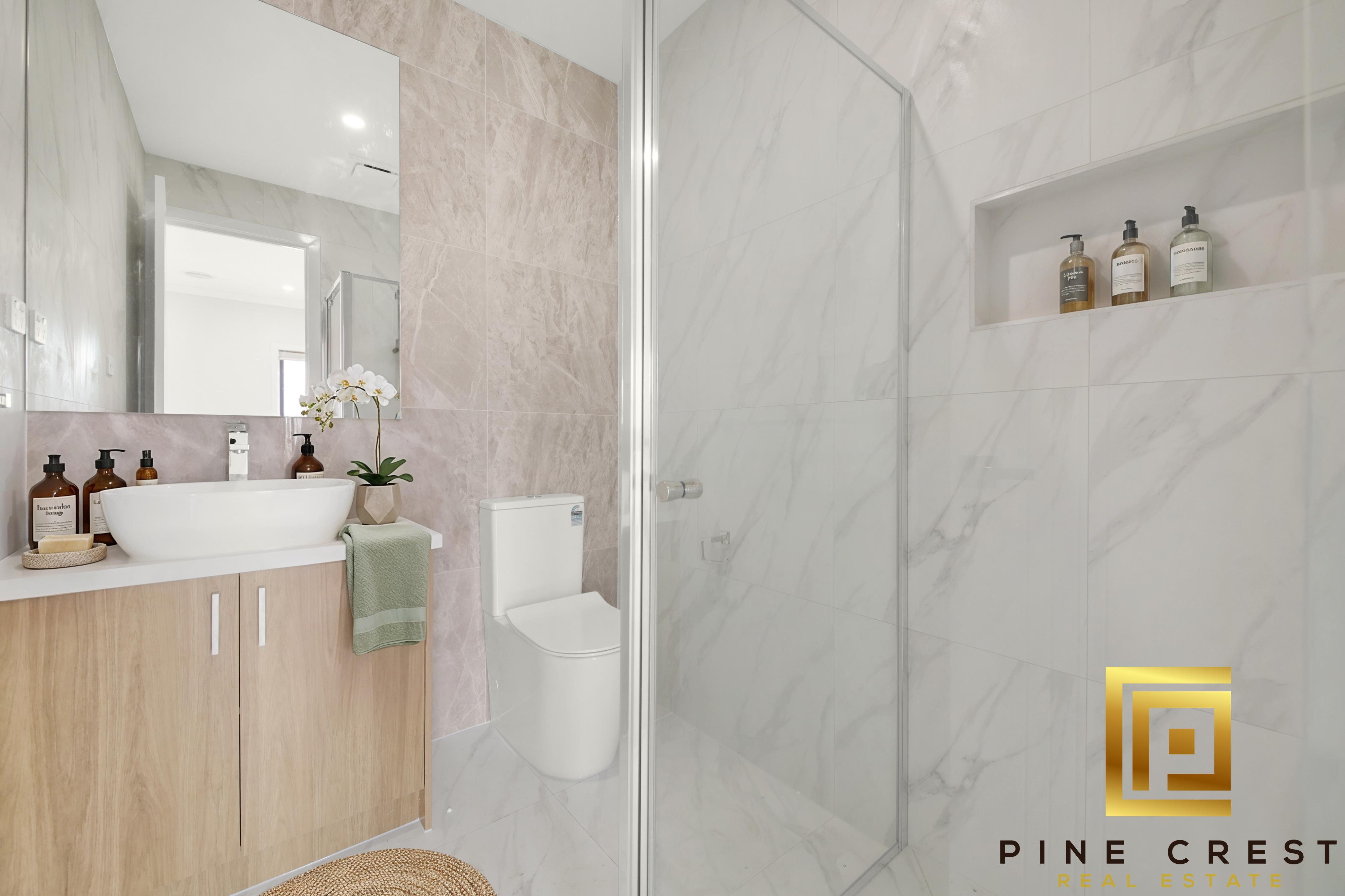 Extreme close up of a plant with flat leaves with rounded sides and pointy tips.