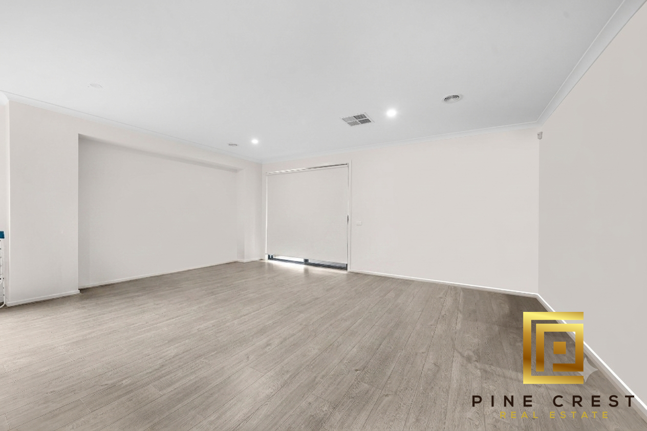 Extreme close up of a plant with flat leaves with rounded sides and pointy tips.