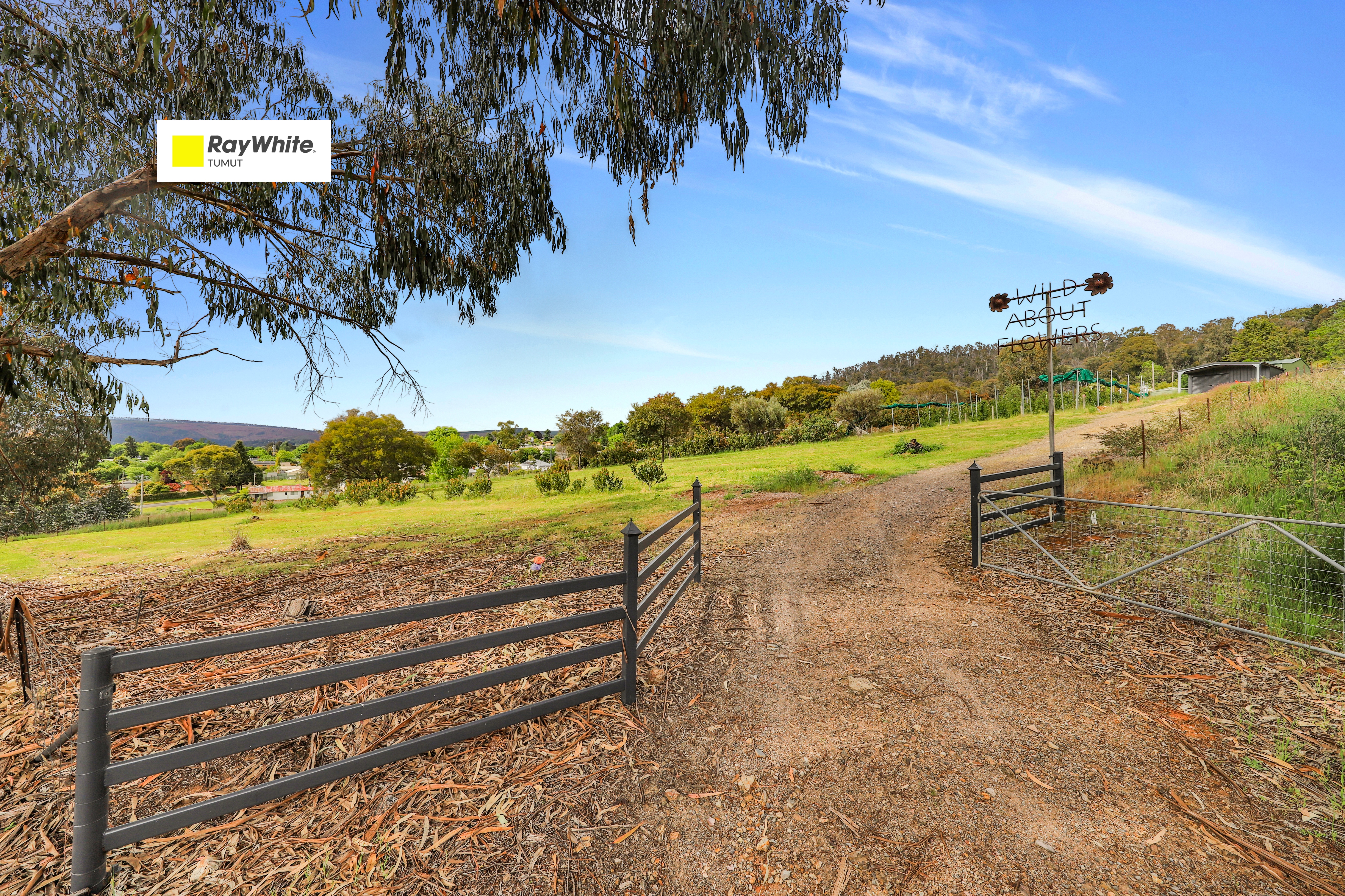39 Mayday Road, Batlow NSW 2730