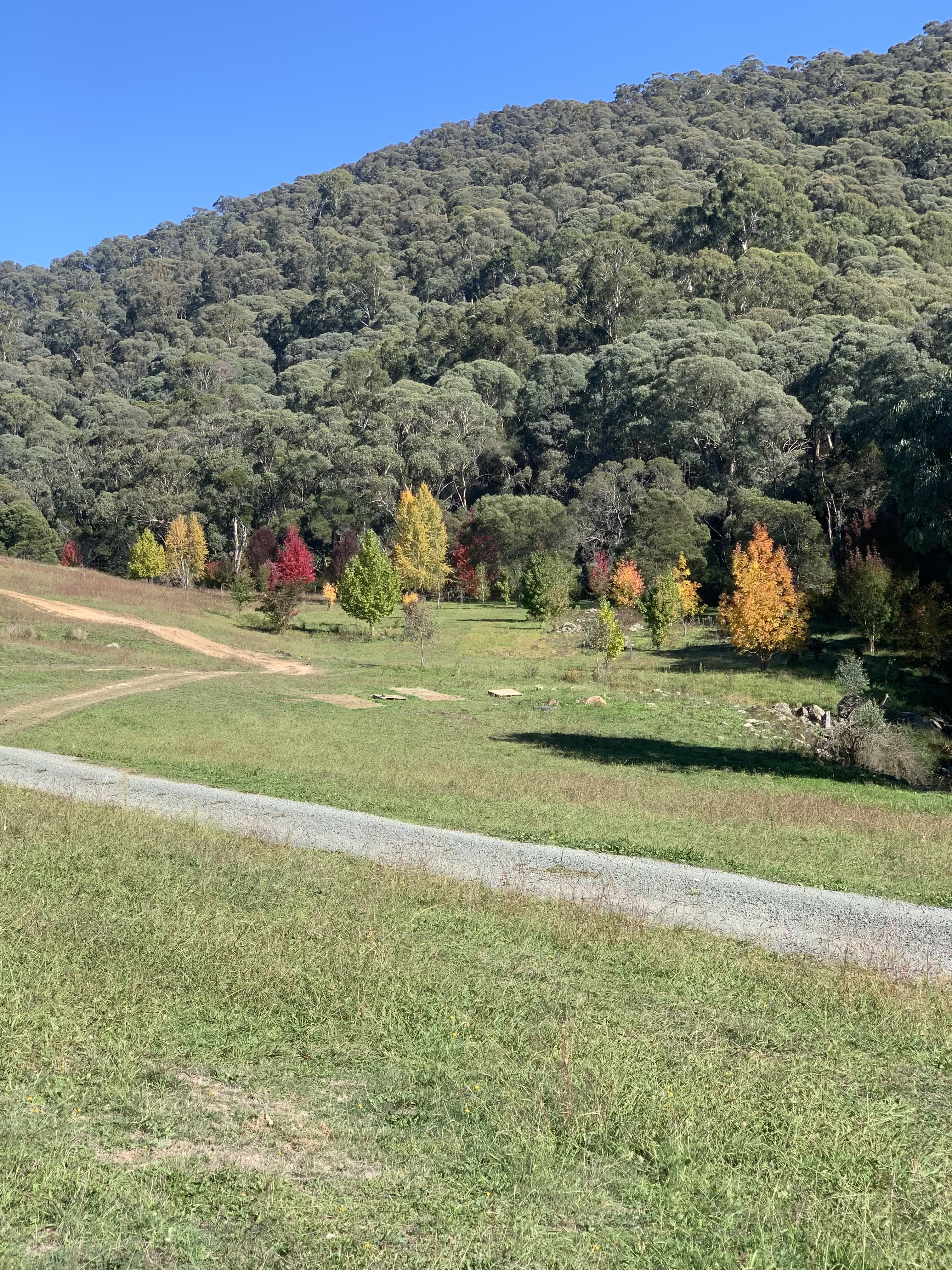 Part 1420 Goobarragandra Road, Tumut NSW 2720