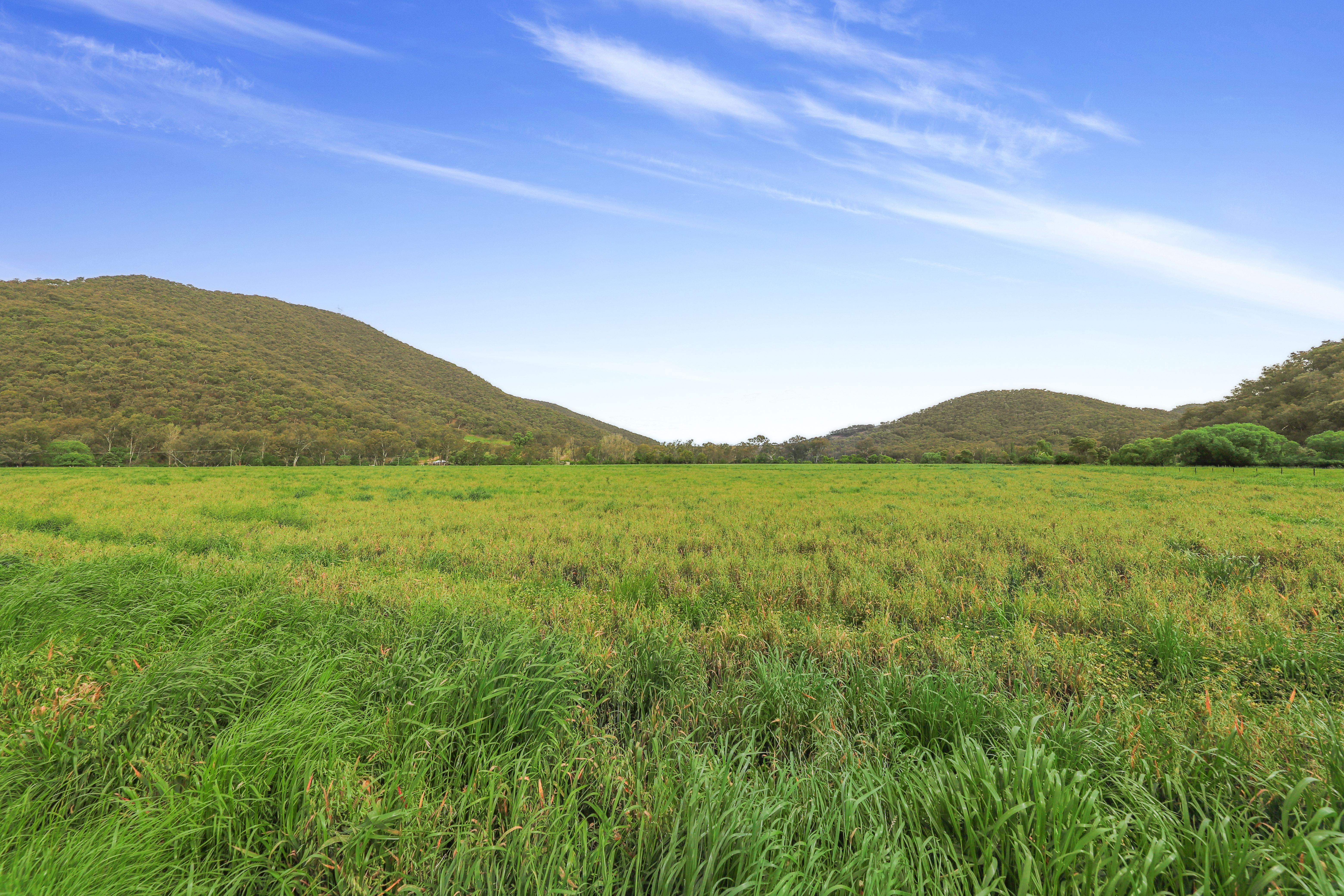 338 East Blowering Road, Tumut Auction by Farmbuy.com - image 26