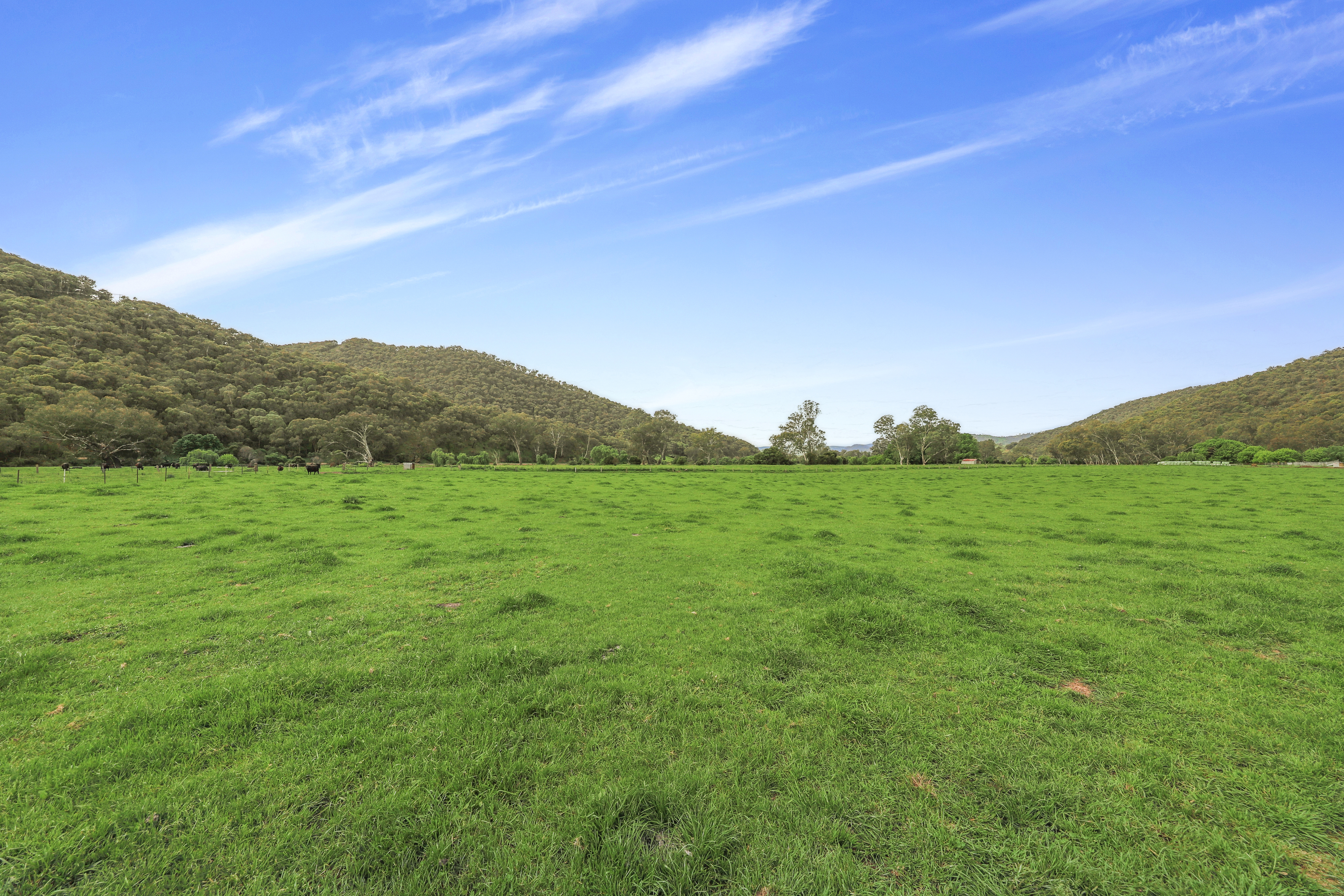 338 East Blowering Road, Tumut Auction by Farmbuy.com - image 27