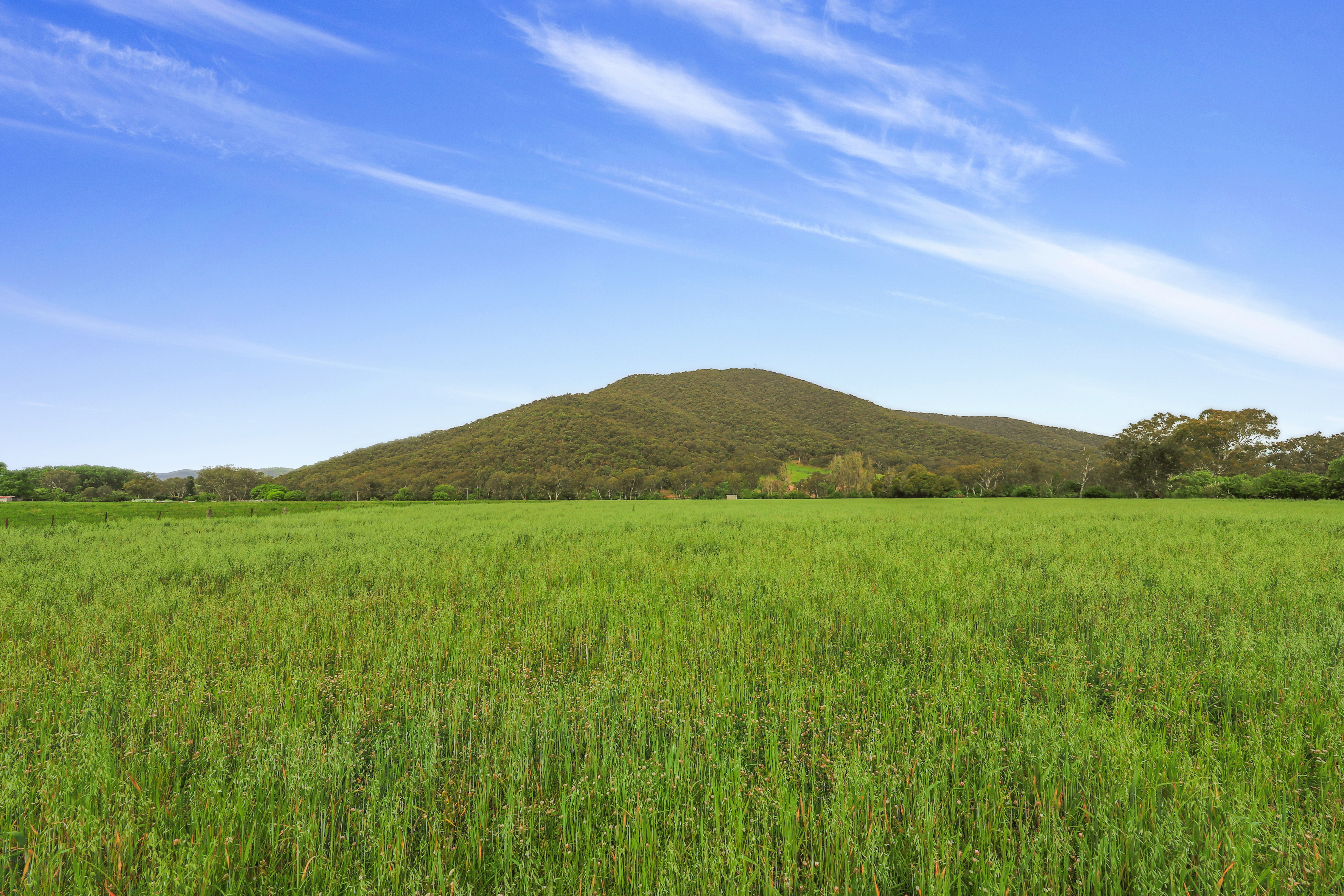 338 East Blowering Road, Tumut Auction by Farmbuy.com - image 24