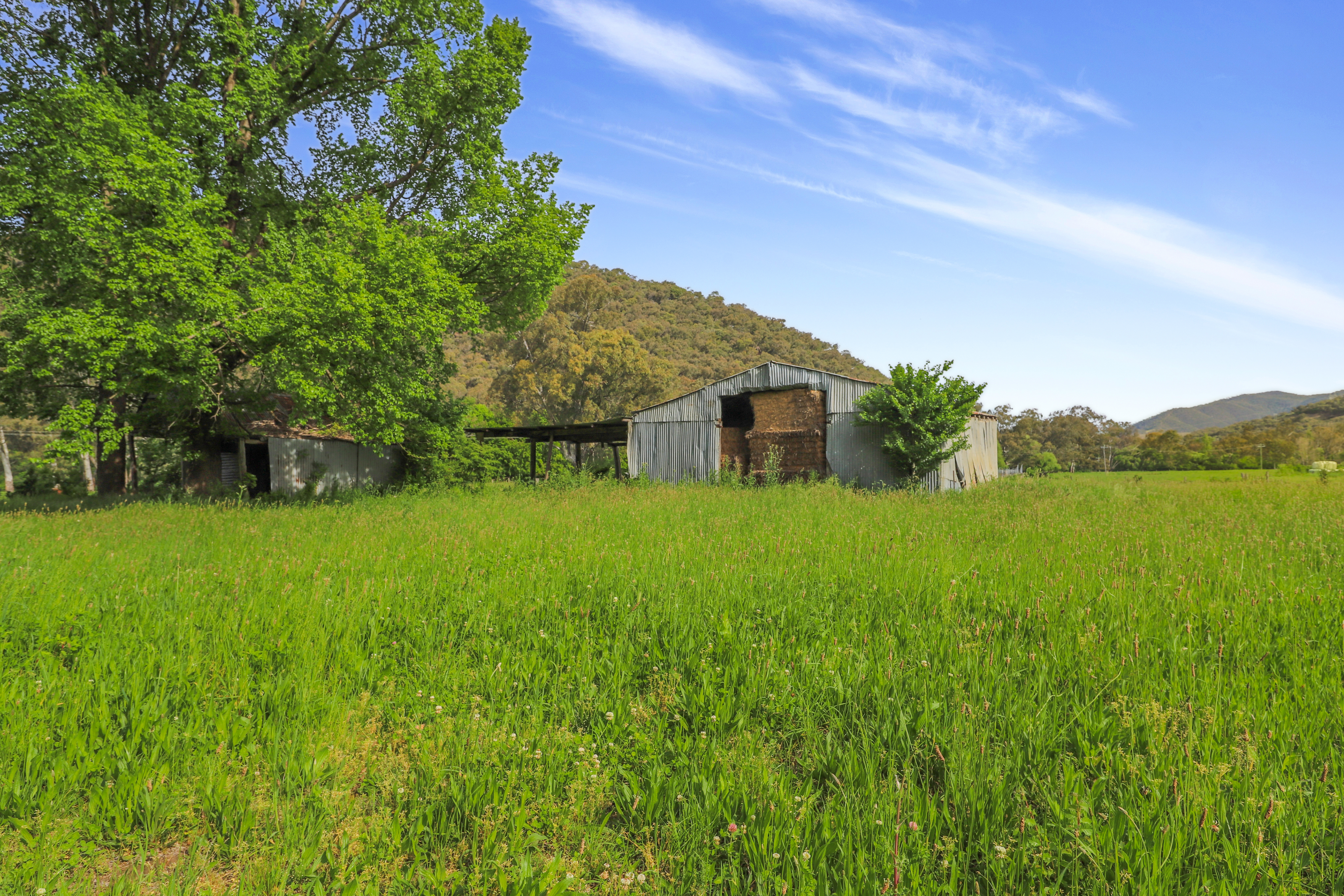338 East Blowering Road, Tumut Auction by Farmbuy.com - image 31