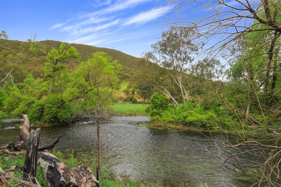 338 East Blowering Road, Tumut Auction by Farmbuy.com - image 35
