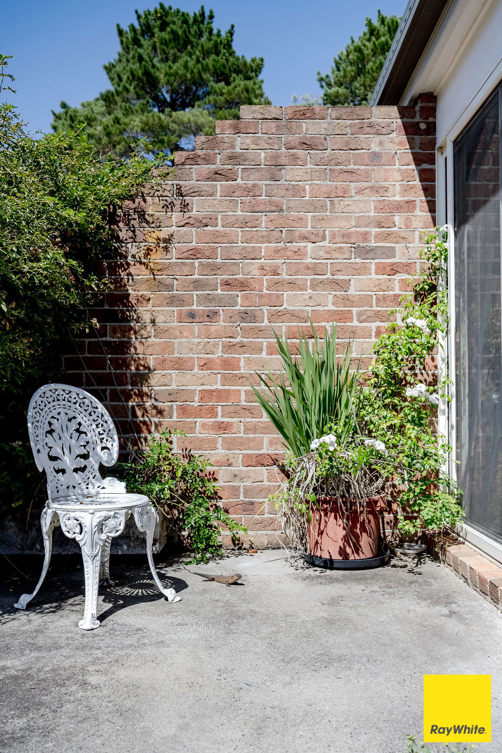 317 Macs Reef Road, Bywong For Sale by Farmbuy.com - image 6