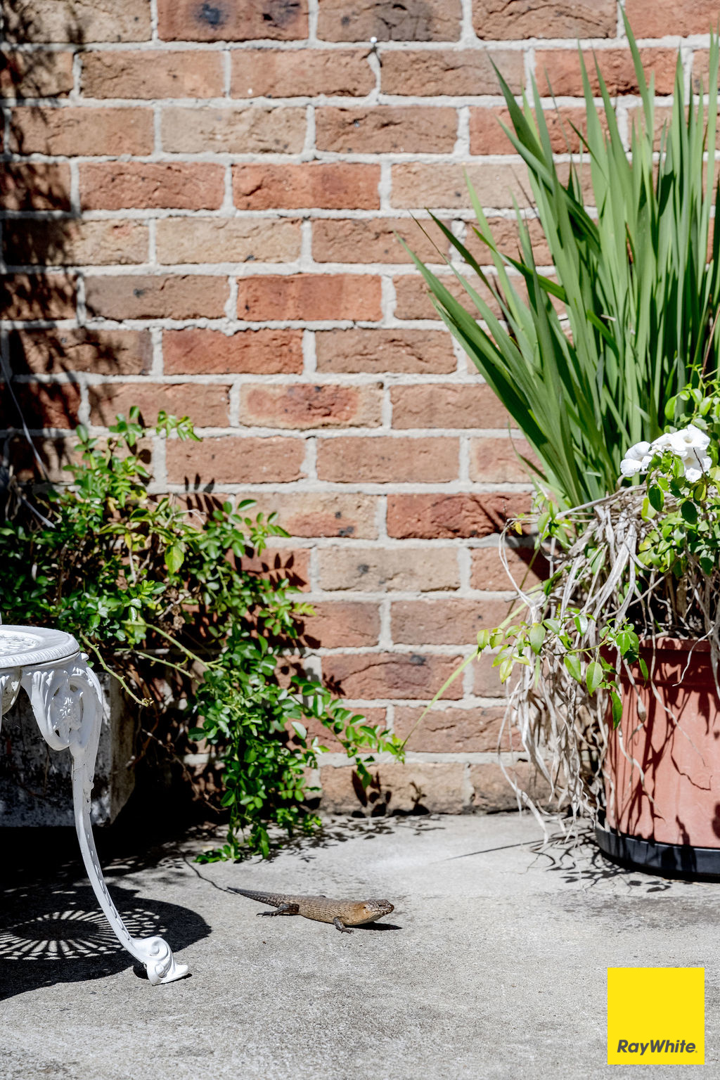 317 Macs Reef Road, Bywong For Sale by Farmbuy.com - image 30