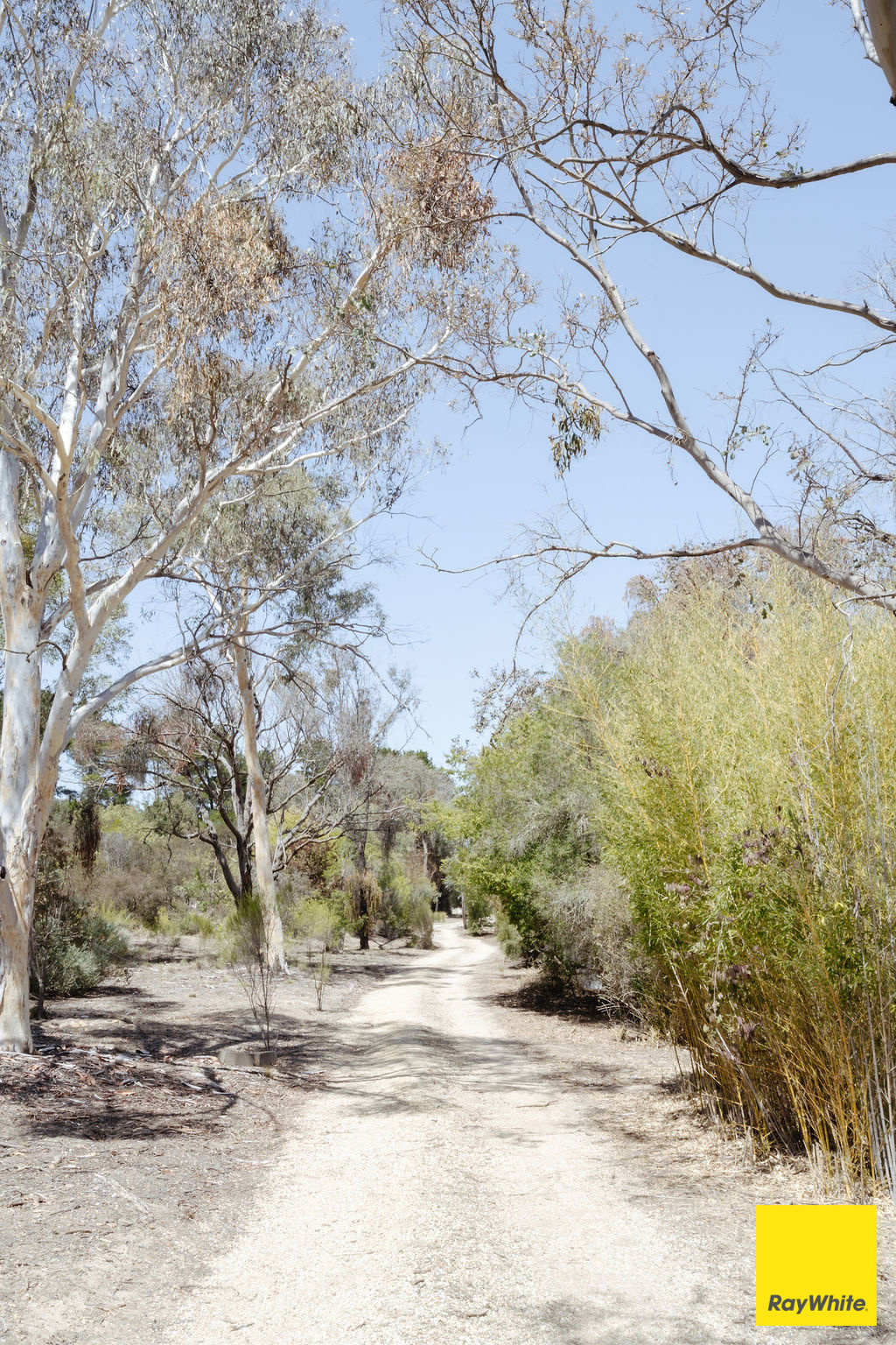 317 Macs Reef Road, Bywong For Sale by Farmbuy.com - image 33