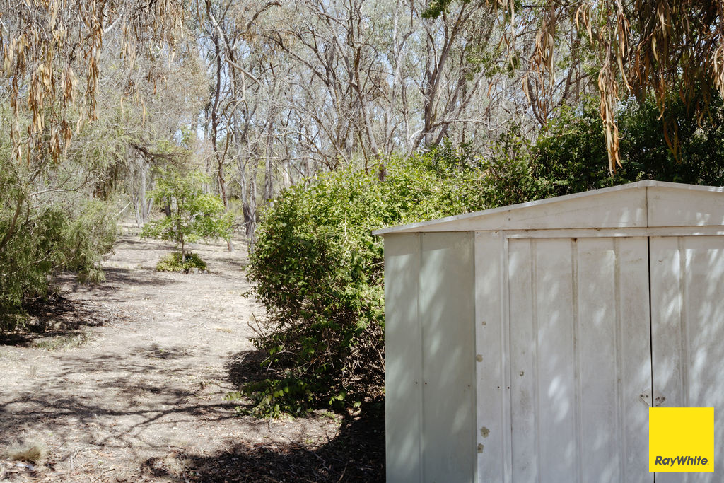 317 Macs Reef Road, Bywong For Sale by Farmbuy.com - image 29