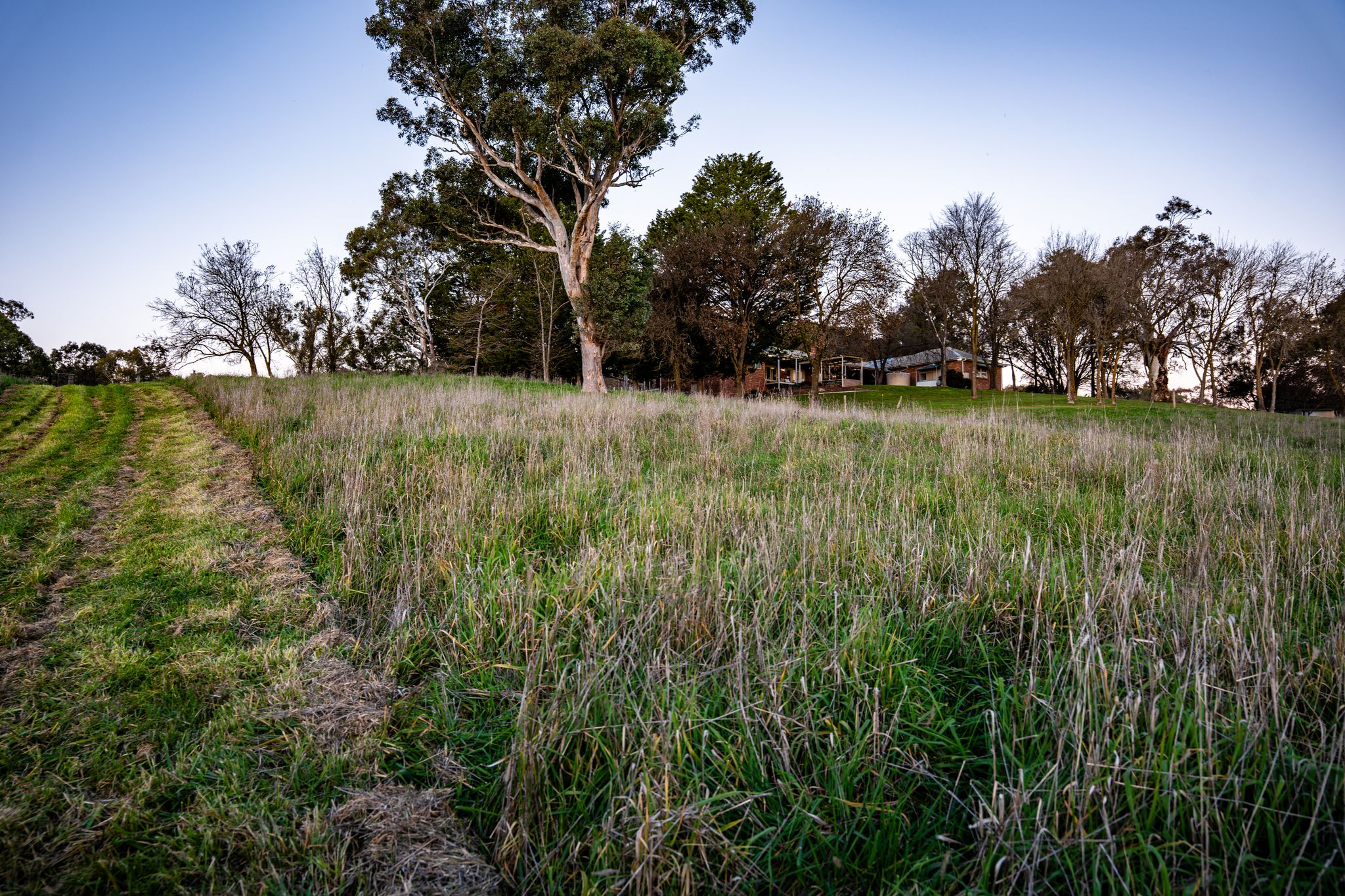 "Windamere", 11 Shearsby Crescent, Yass Auction by Farmbuy.com - image 26