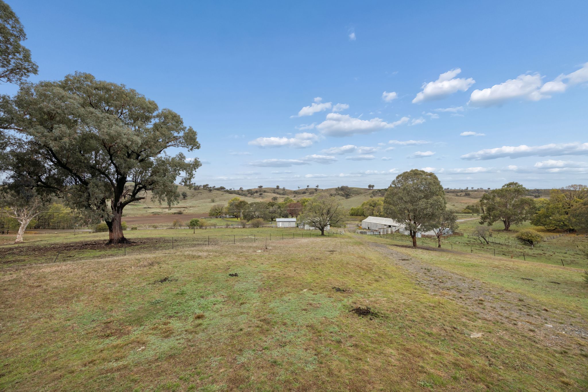 2491 Taylors Flat Road, Taylors Flat For Sale by Farmbuy.com - image 9