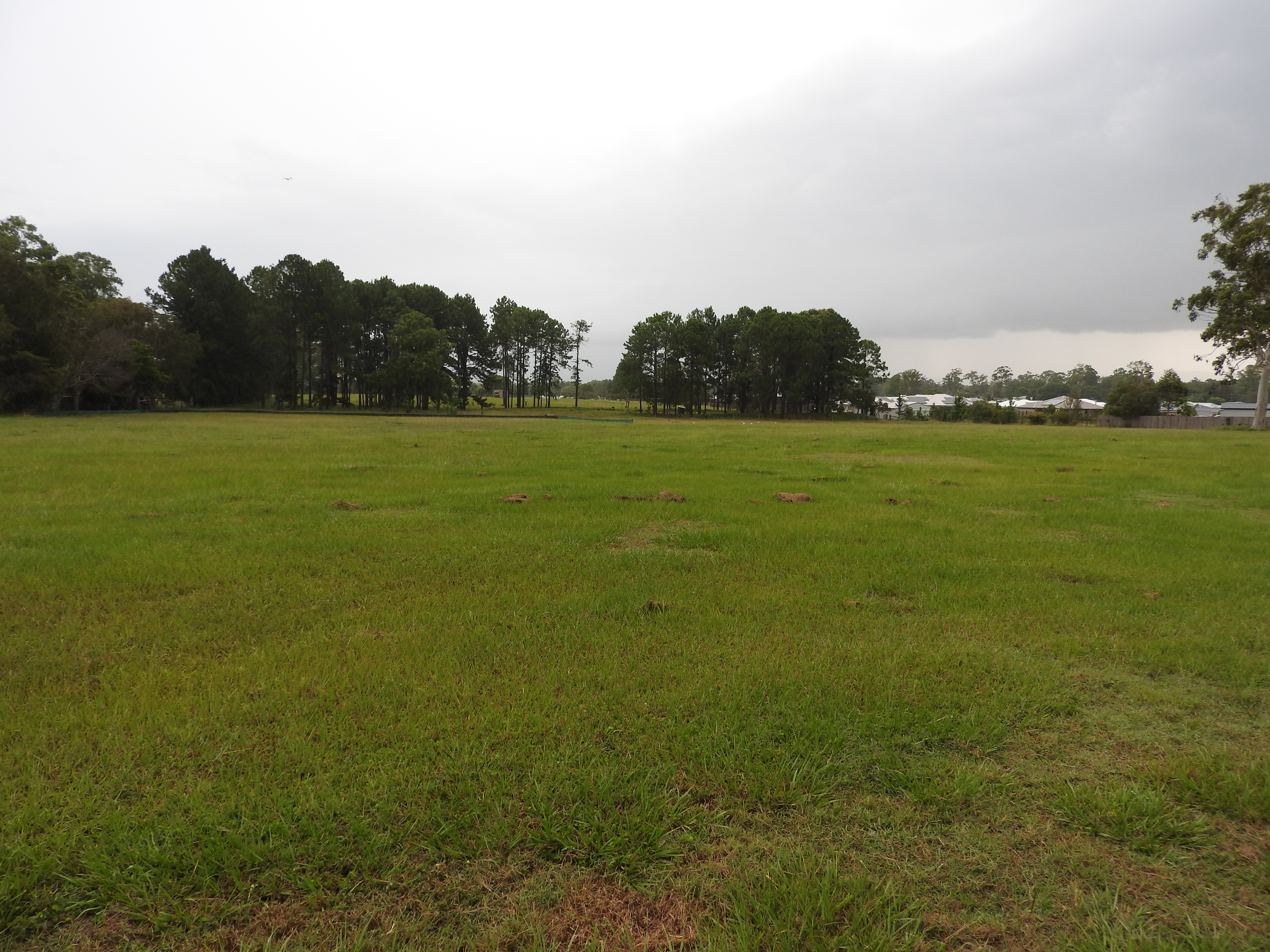 Lot Lot 2 15 Denmont Street, Elimbah, QLD, 4516, Elimbah - Thumbnail 4