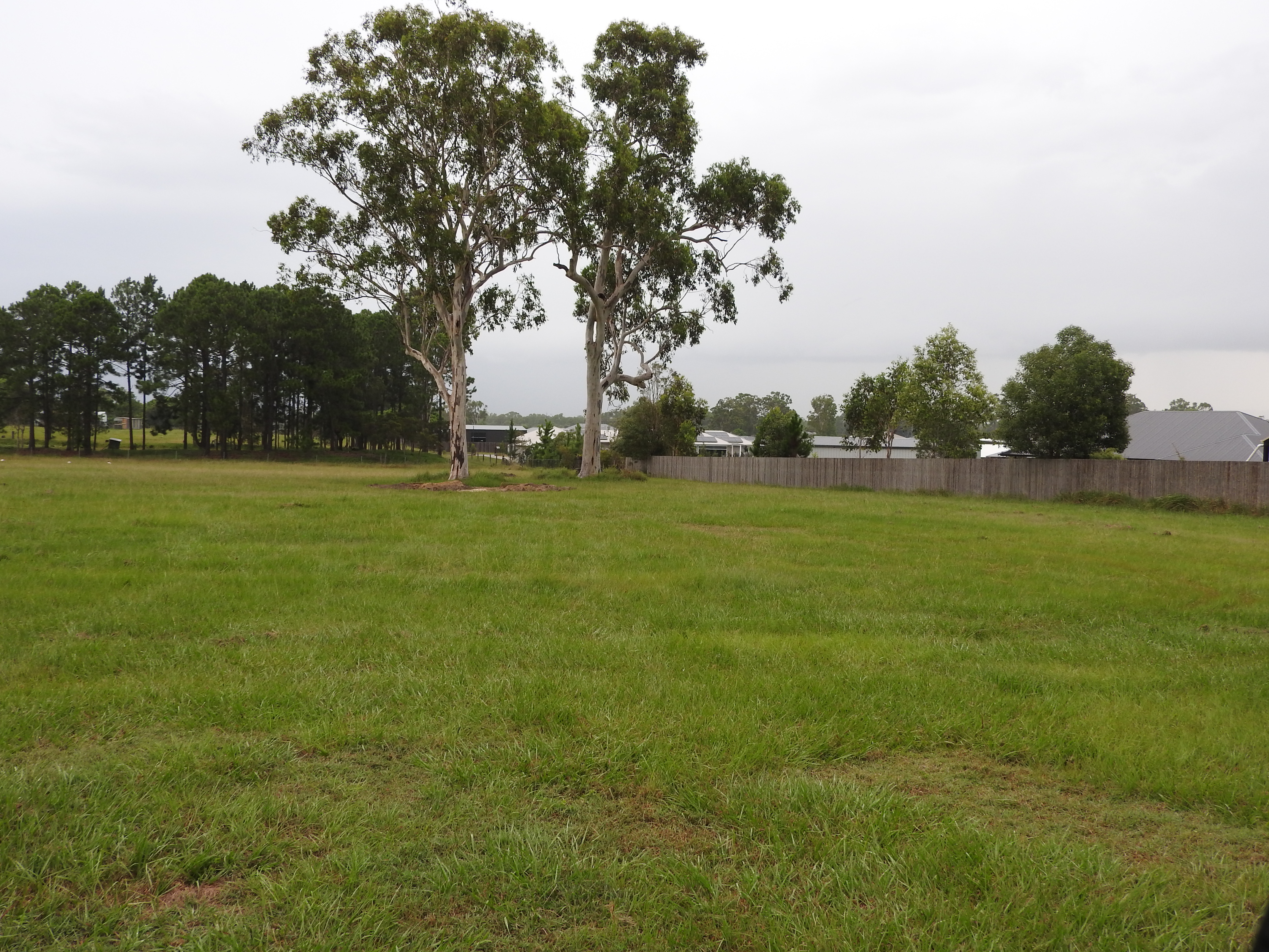 Lot Lot 2 15 Denmont Street, Elimbah, QLD, 4516, Elimbah - Thumbnail 6