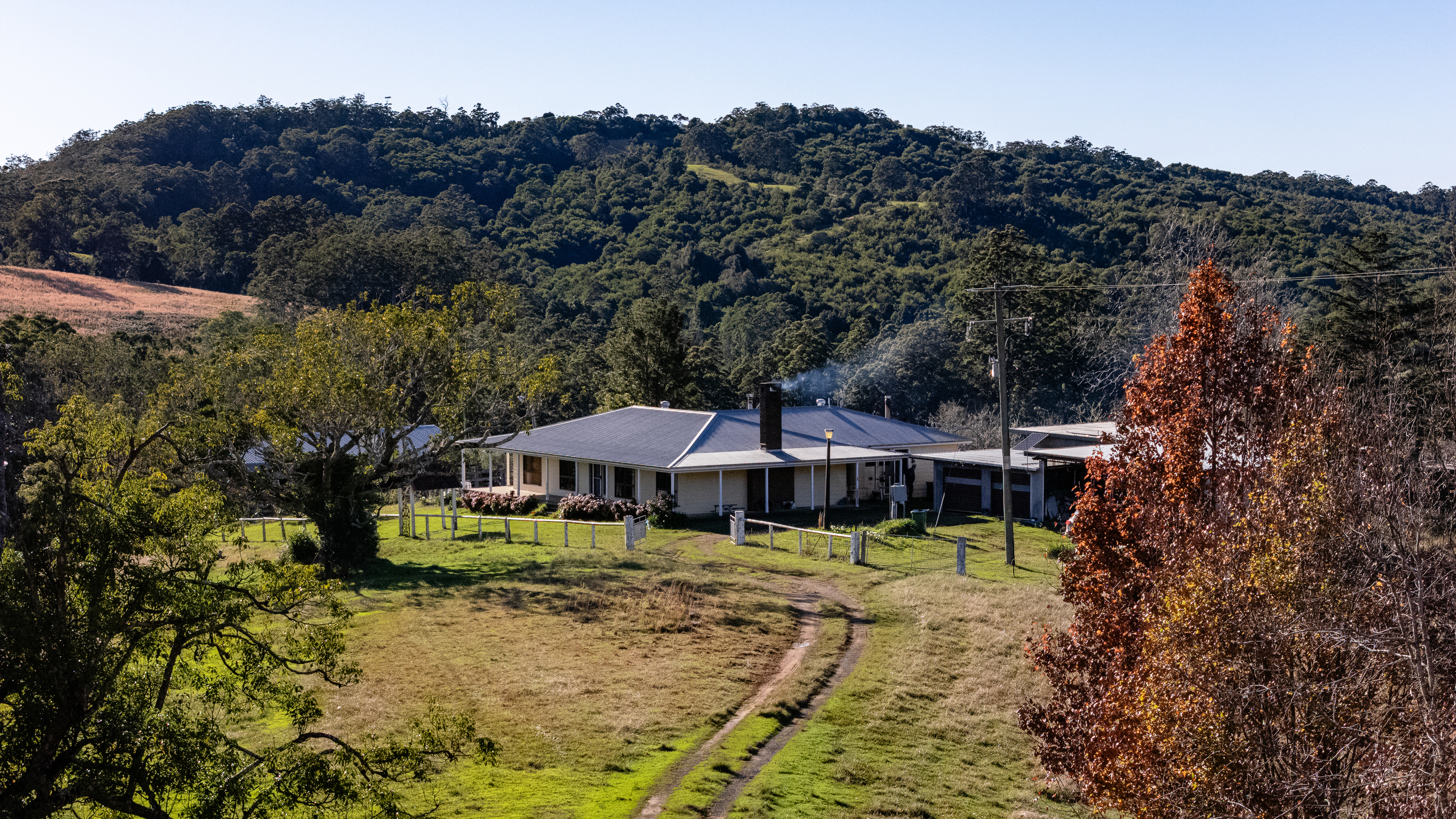 60 Sandy Knob Road, Elands NSW 2429