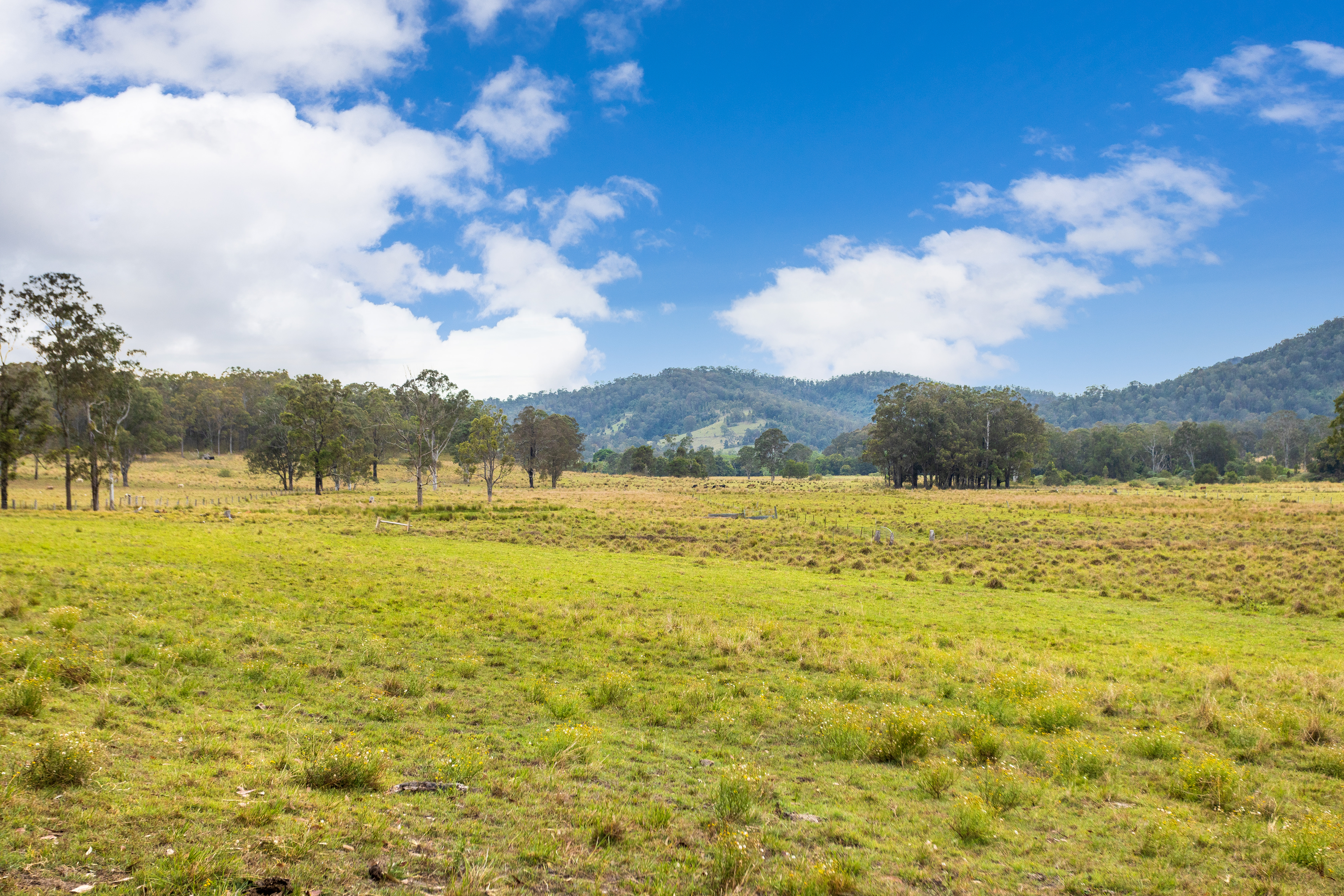 561 Kimbriki Road, Kimbriki For Sale by Farmbuy.com - image 9