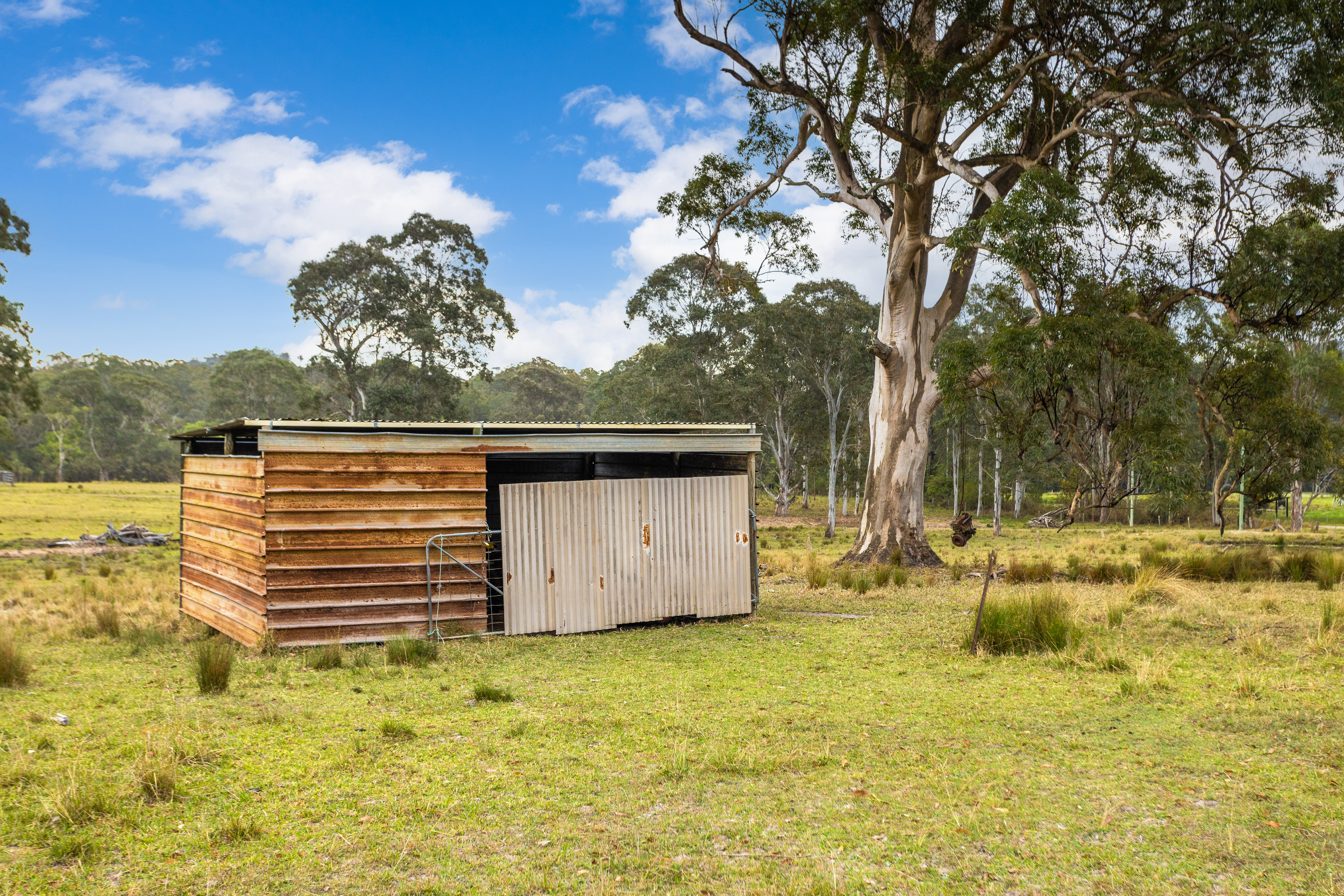 561 Kimbriki Road, Kimbriki For Sale by Farmbuy.com - image 11