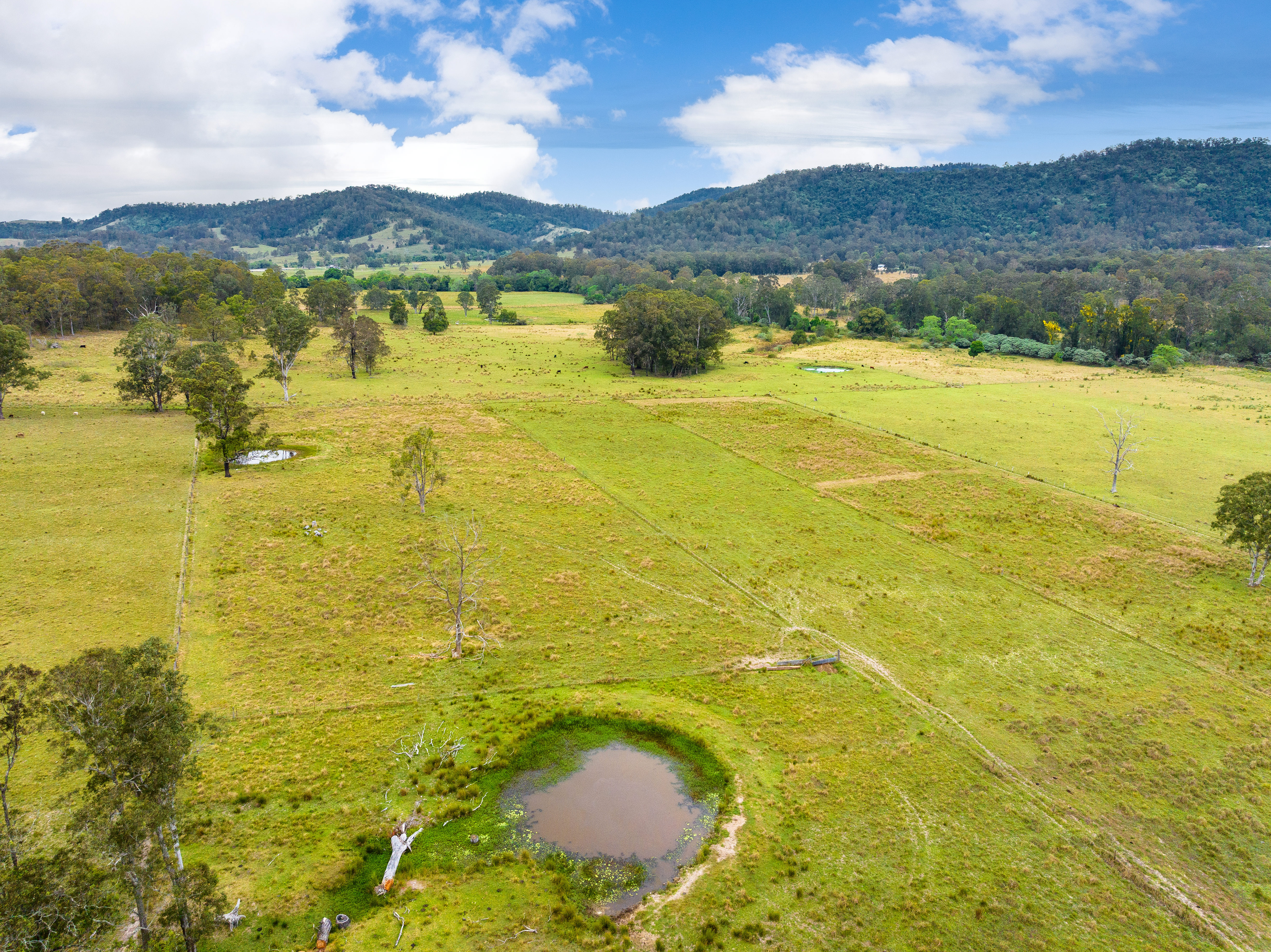 561 Kimbriki Road, Kimbriki For Sale by Farmbuy.com - image 15