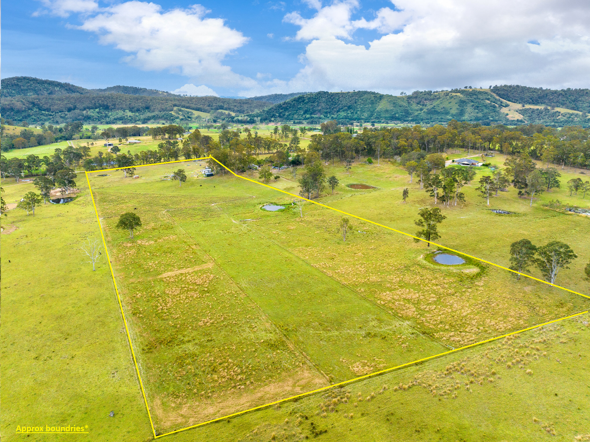 Farm For Sale - NSW - Kimbriki - 2429 - Rural lifestyle, space and opportunity! 
