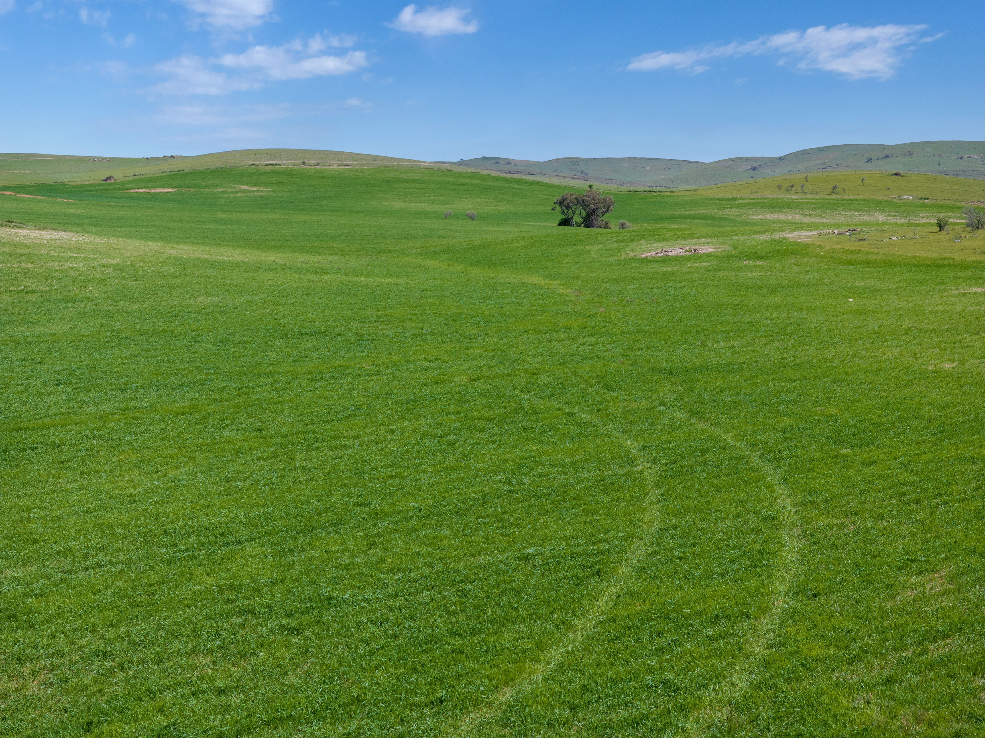 'Turner's' Arthur Road, Orroroo For Sale by Farmbuy.com - image 3
