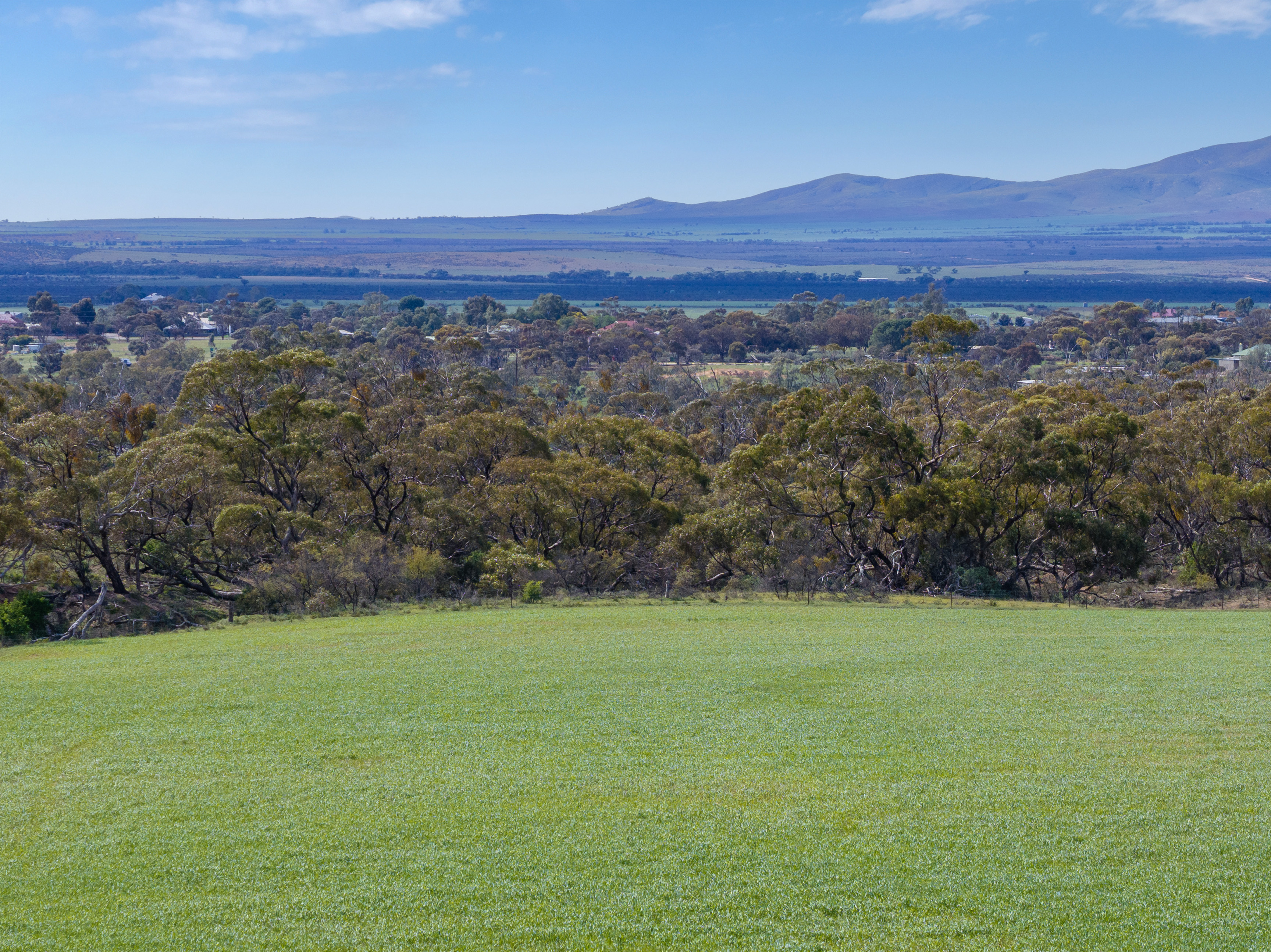 'Turner's' Arthur Road, Orroroo For Sale by Farmbuy.com - image 4
