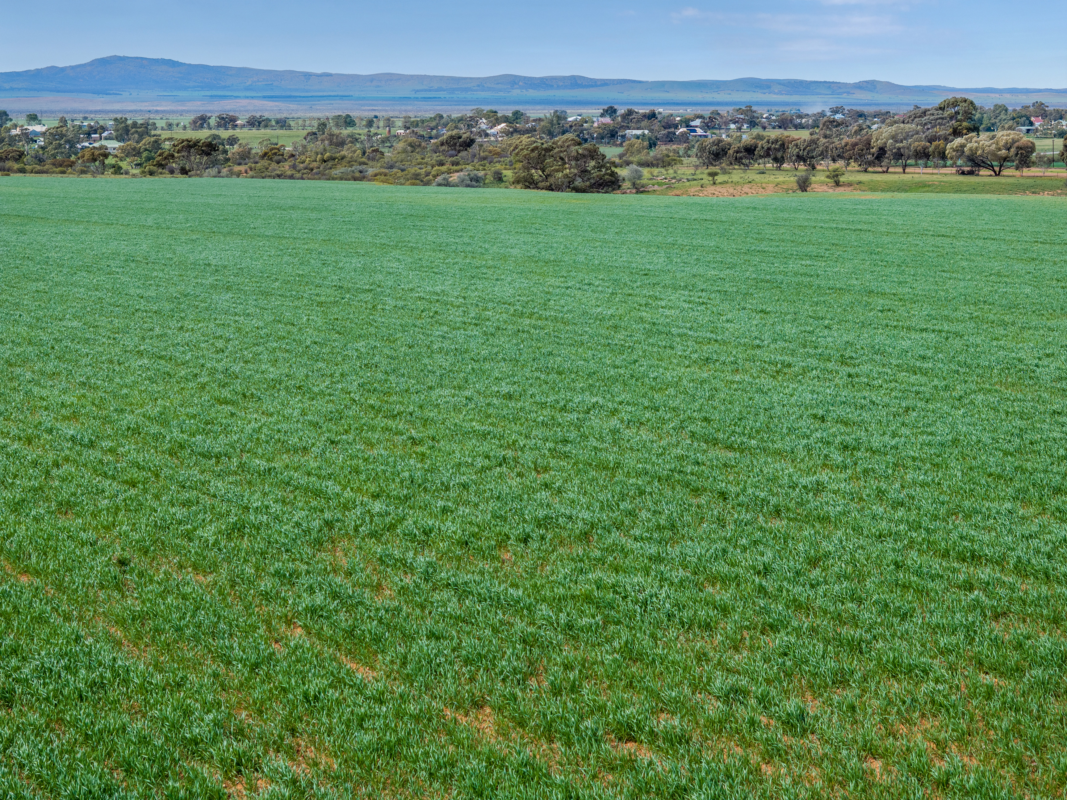 'Turner's' Arthur Road, Orroroo For Sale by Farmbuy.com - image 8