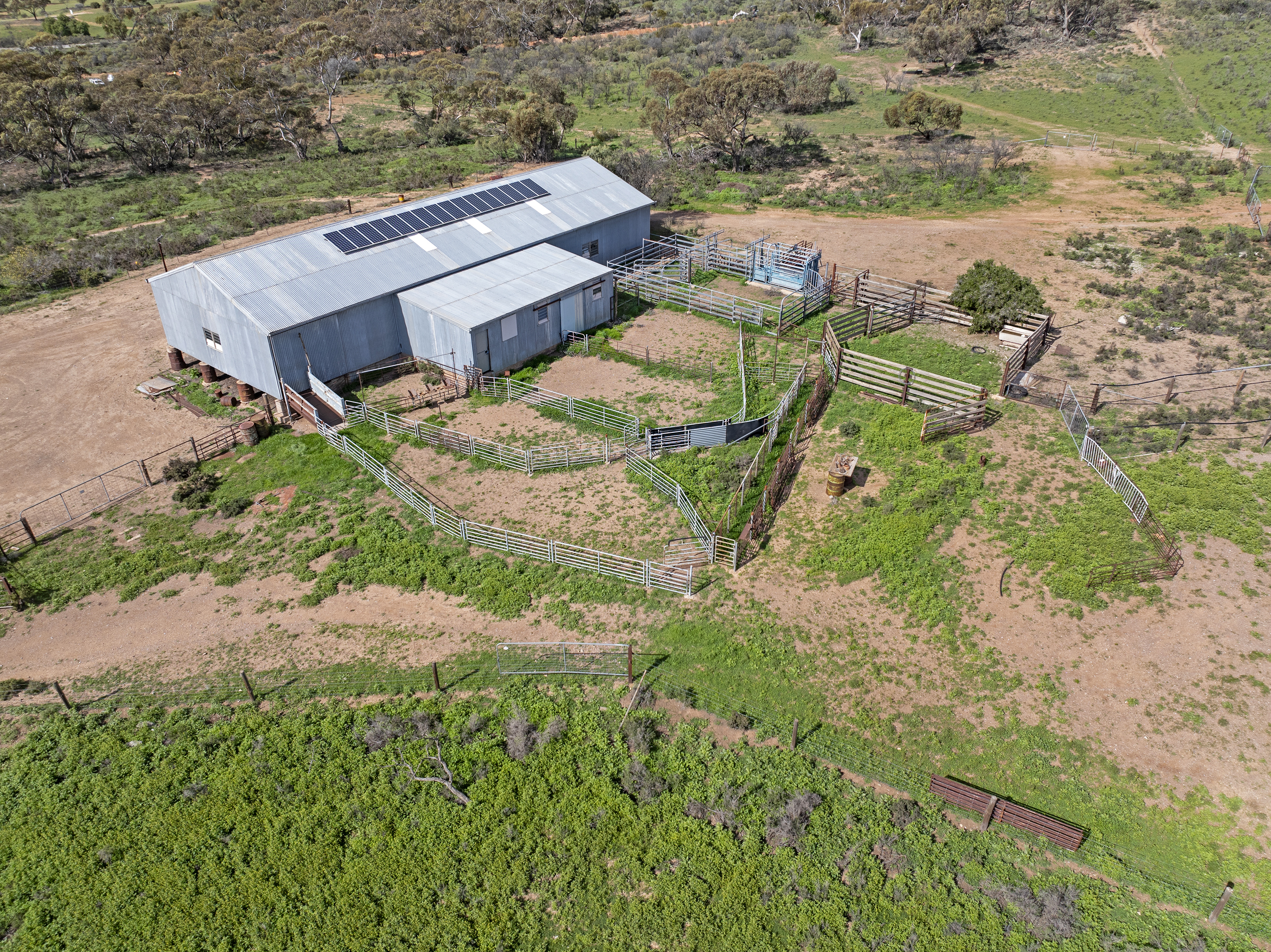 'Turner's' Arthur Road, Orroroo For Sale by Farmbuy.com - image 13