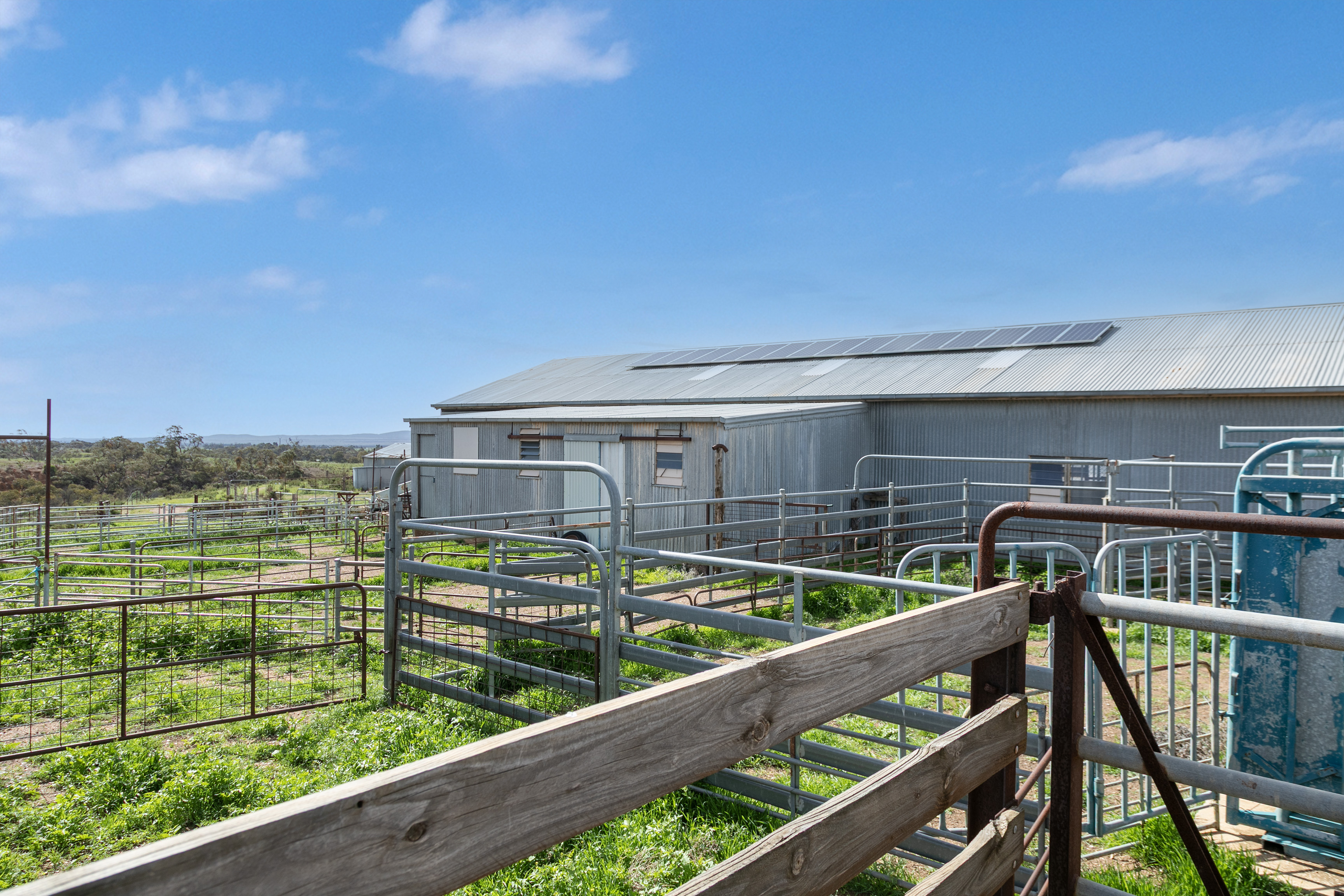 'Turner's' Arthur Road, Orroroo For Sale by Farmbuy.com - image 14