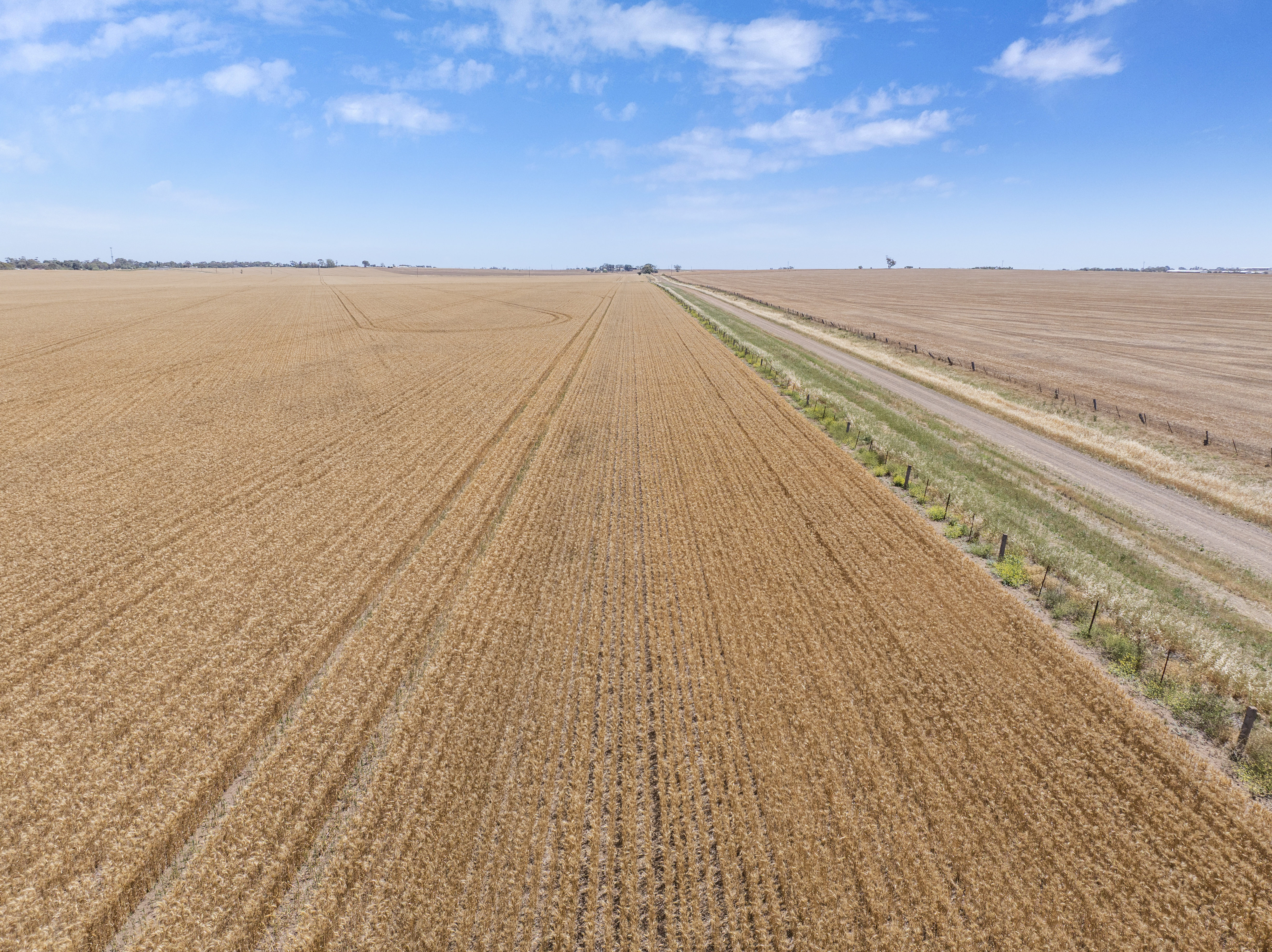 'Ryans' Severins Road, Freeling Auction by Farmbuy.com - image 11