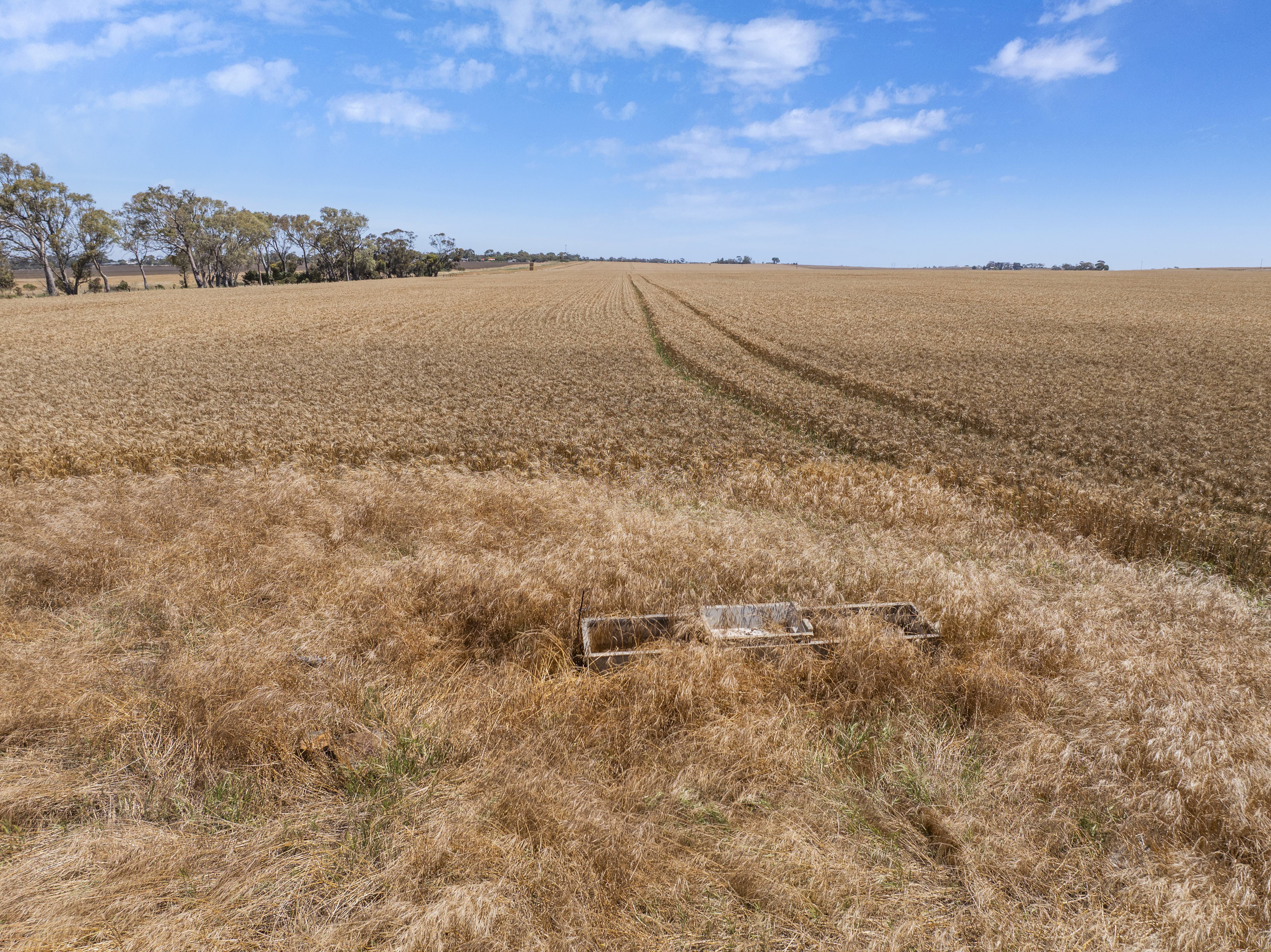 'Ryans' Severins Road, Freeling Auction by Farmbuy.com - image 15