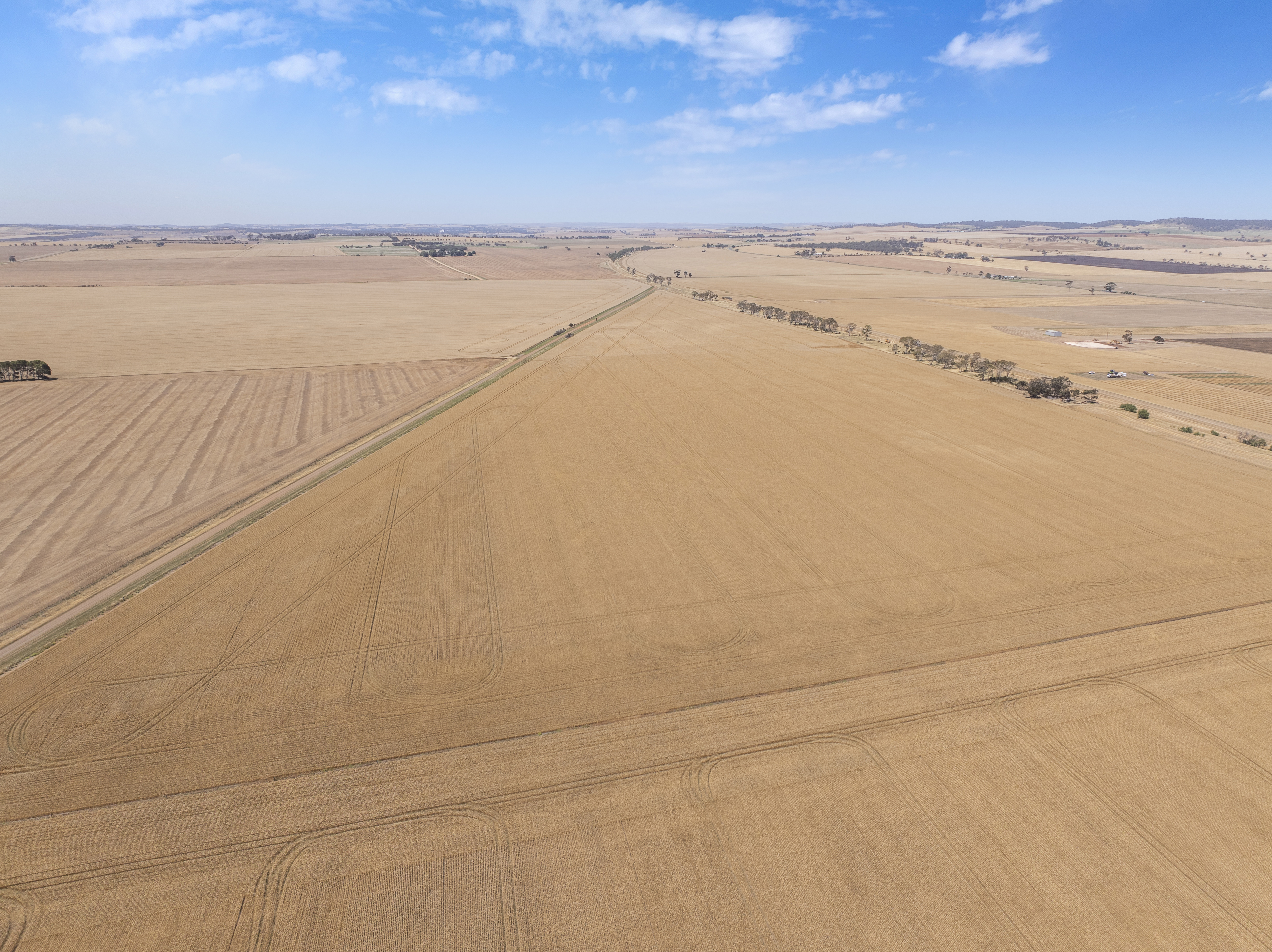 'Ryans' Severins Road, Freeling Auction by Farmbuy.com - image 4