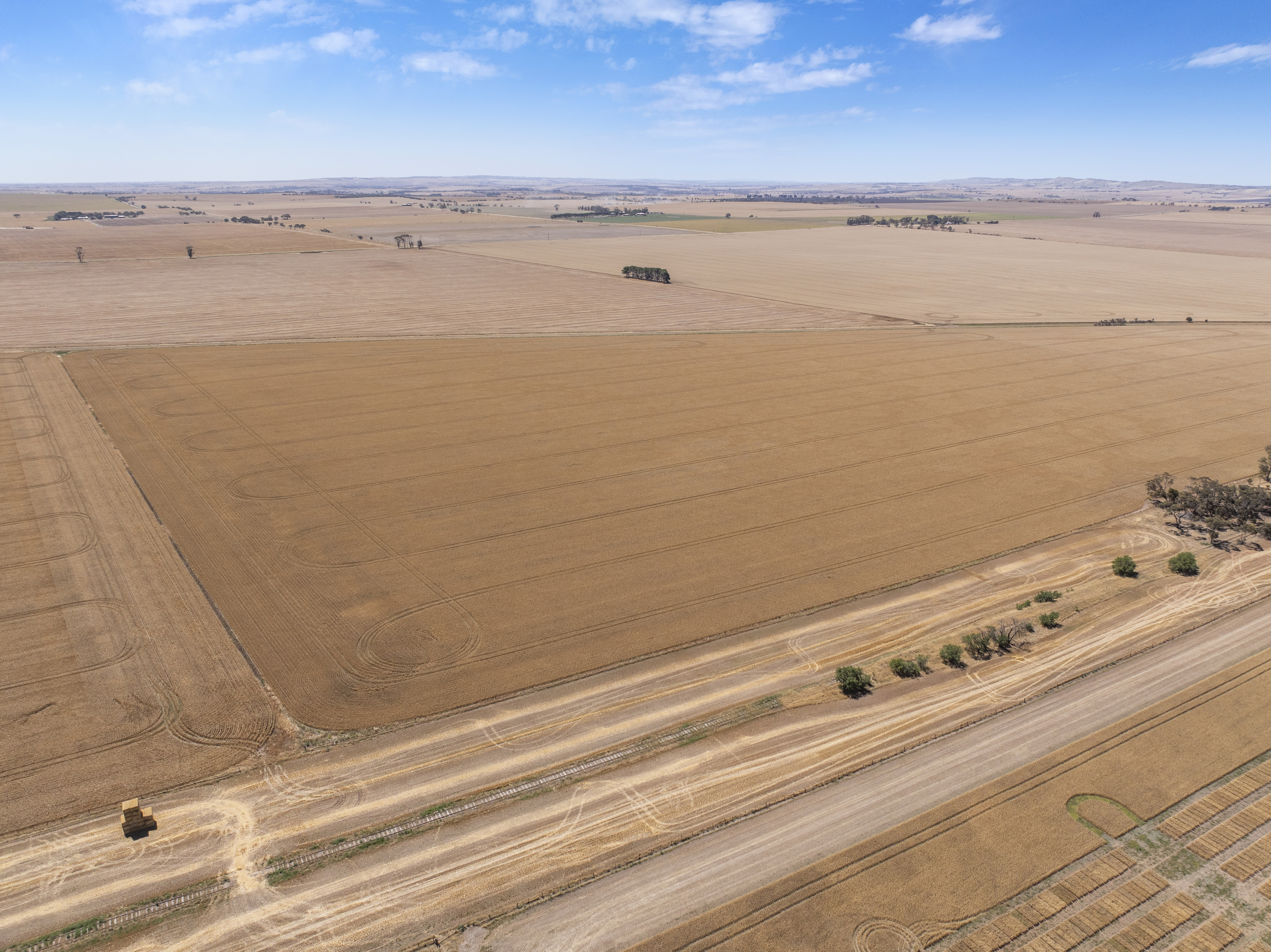 'Ryans' Severins Road, Freeling Auction by Farmbuy.com - image 16