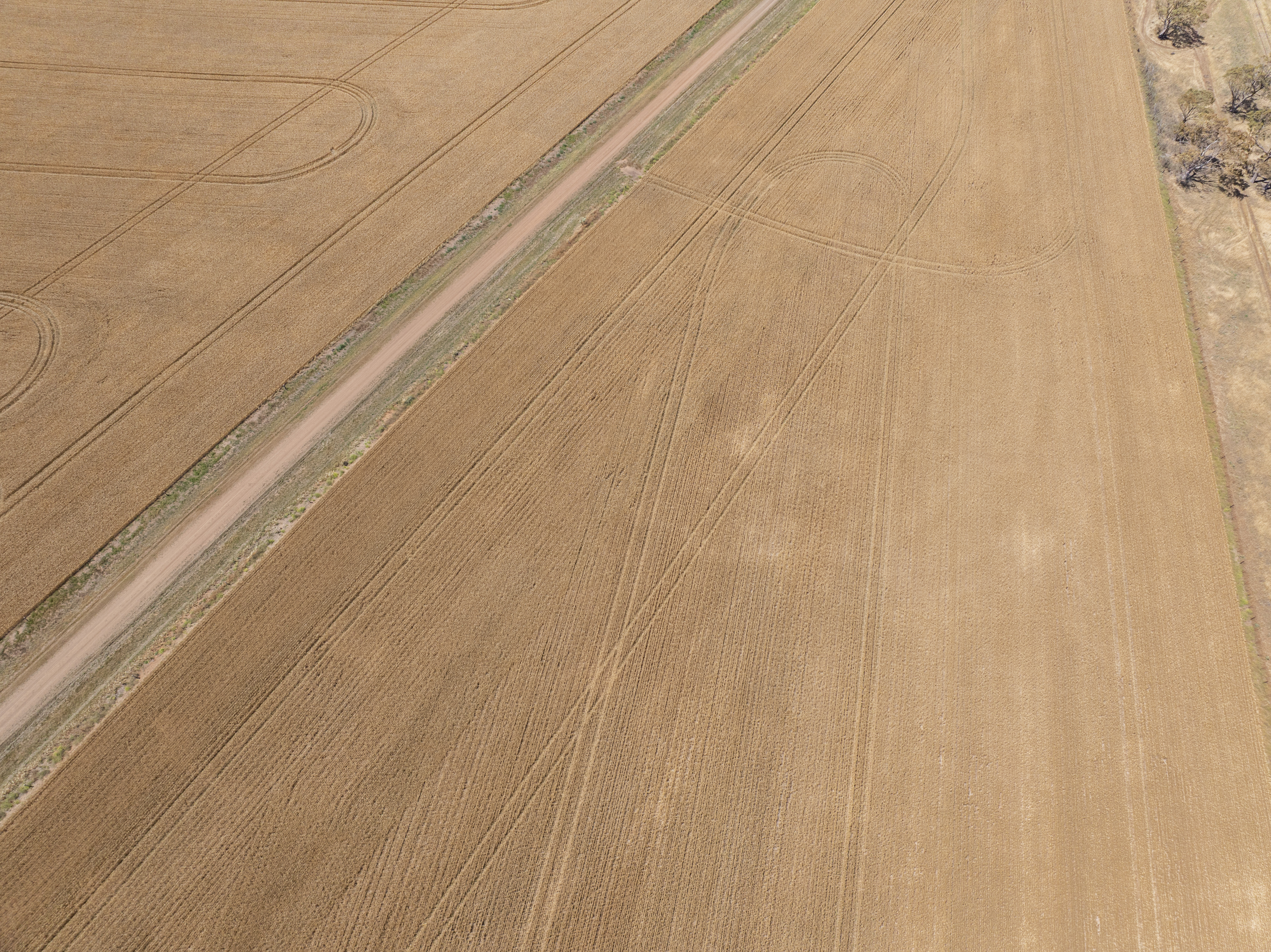 'Ryans' Severins Road, Freeling Auction by Farmbuy.com - image 17