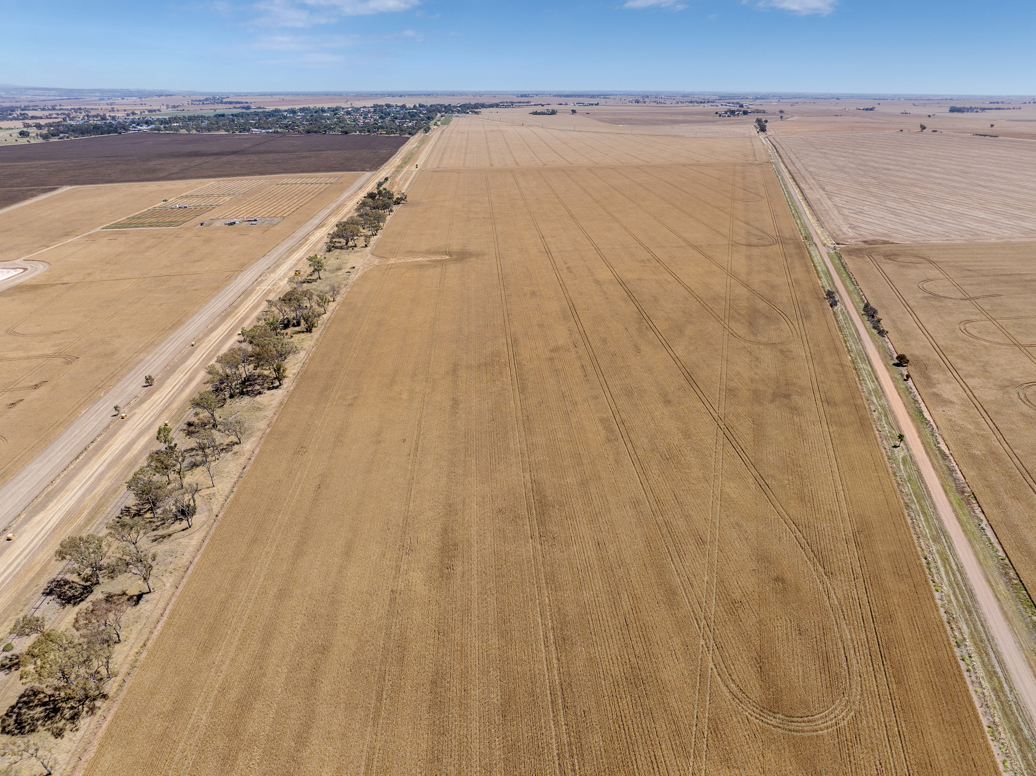 'Ryans' Severins Road, Freeling Auction by Farmbuy.com - image 18