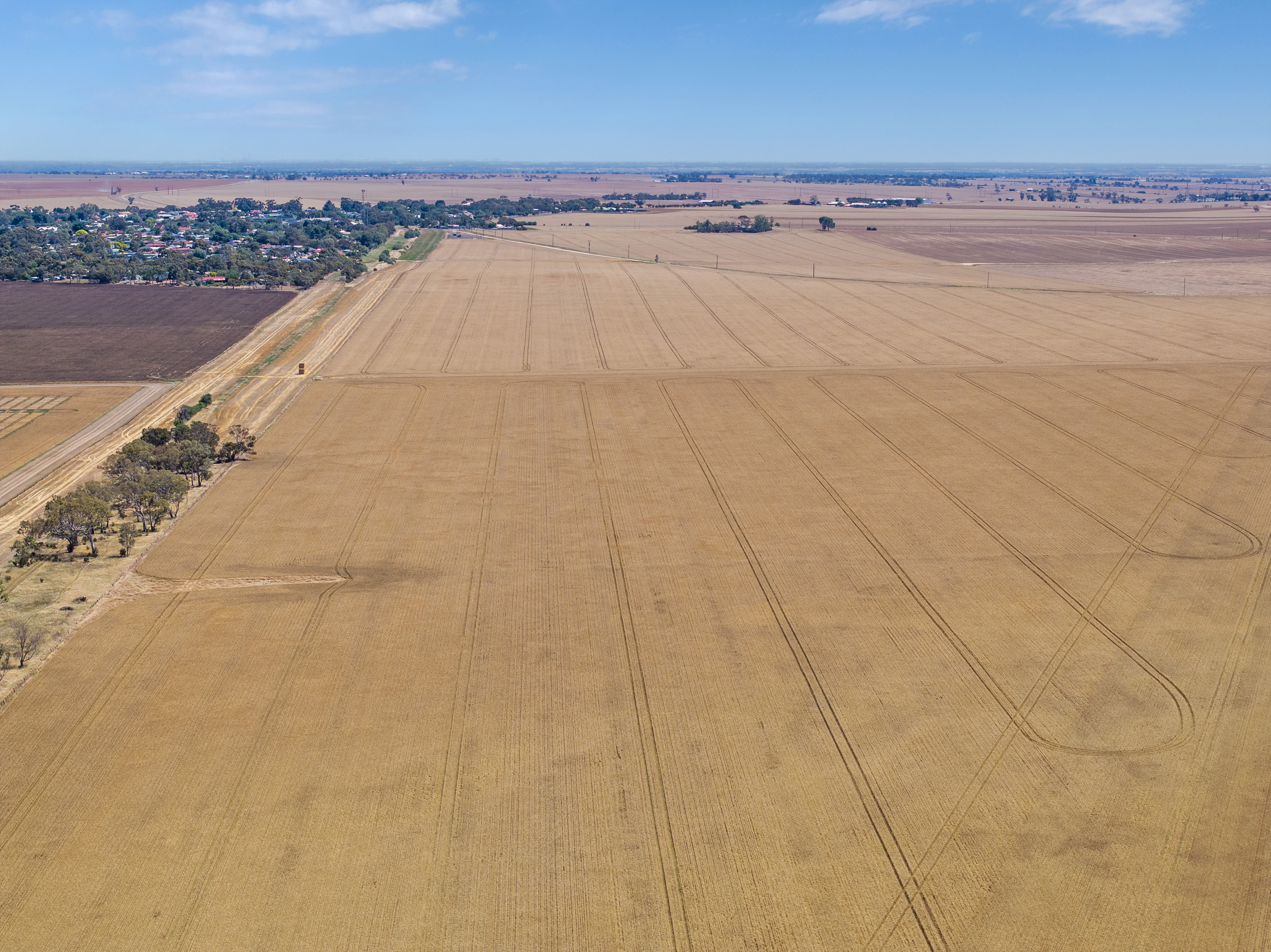 'Ryans' Severins Road, Freeling Auction by Farmbuy.com - image 19