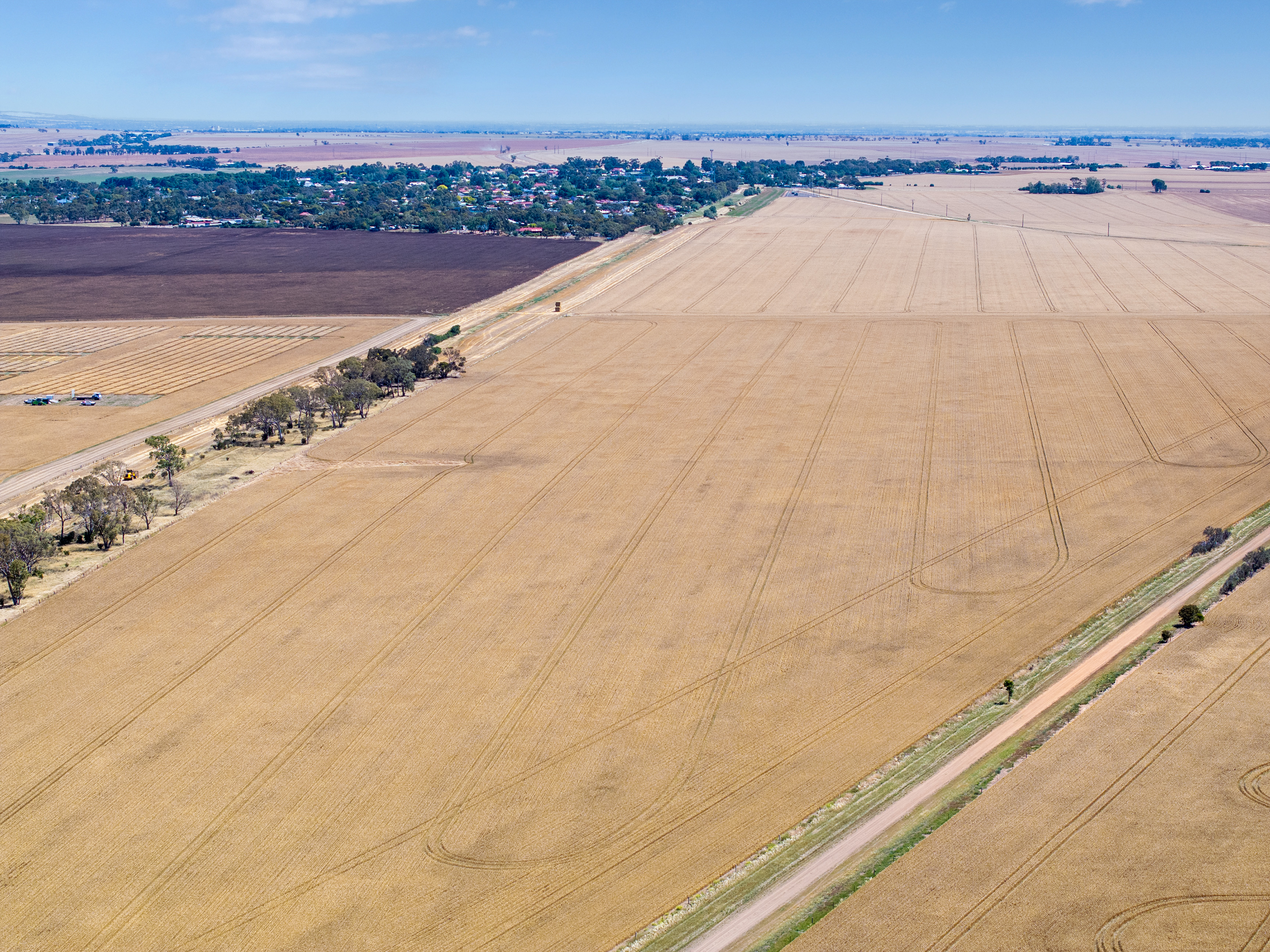 'Ryans' Severins Road, Freeling Auction by Farmbuy.com - image 9