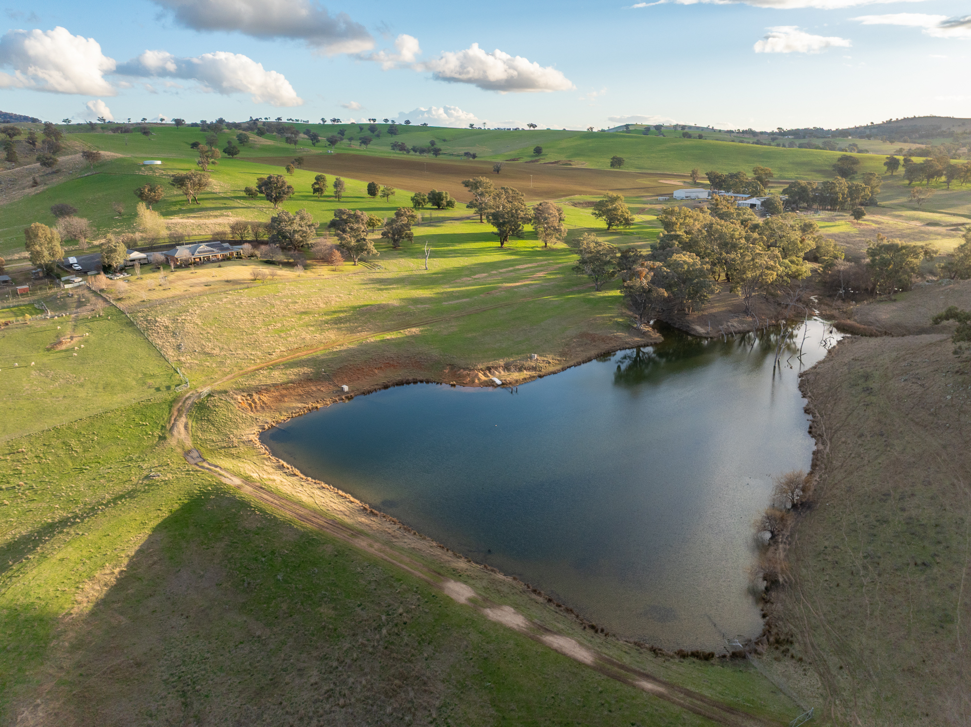 1507 Pine Mount Road, Woodstock NSW 2793