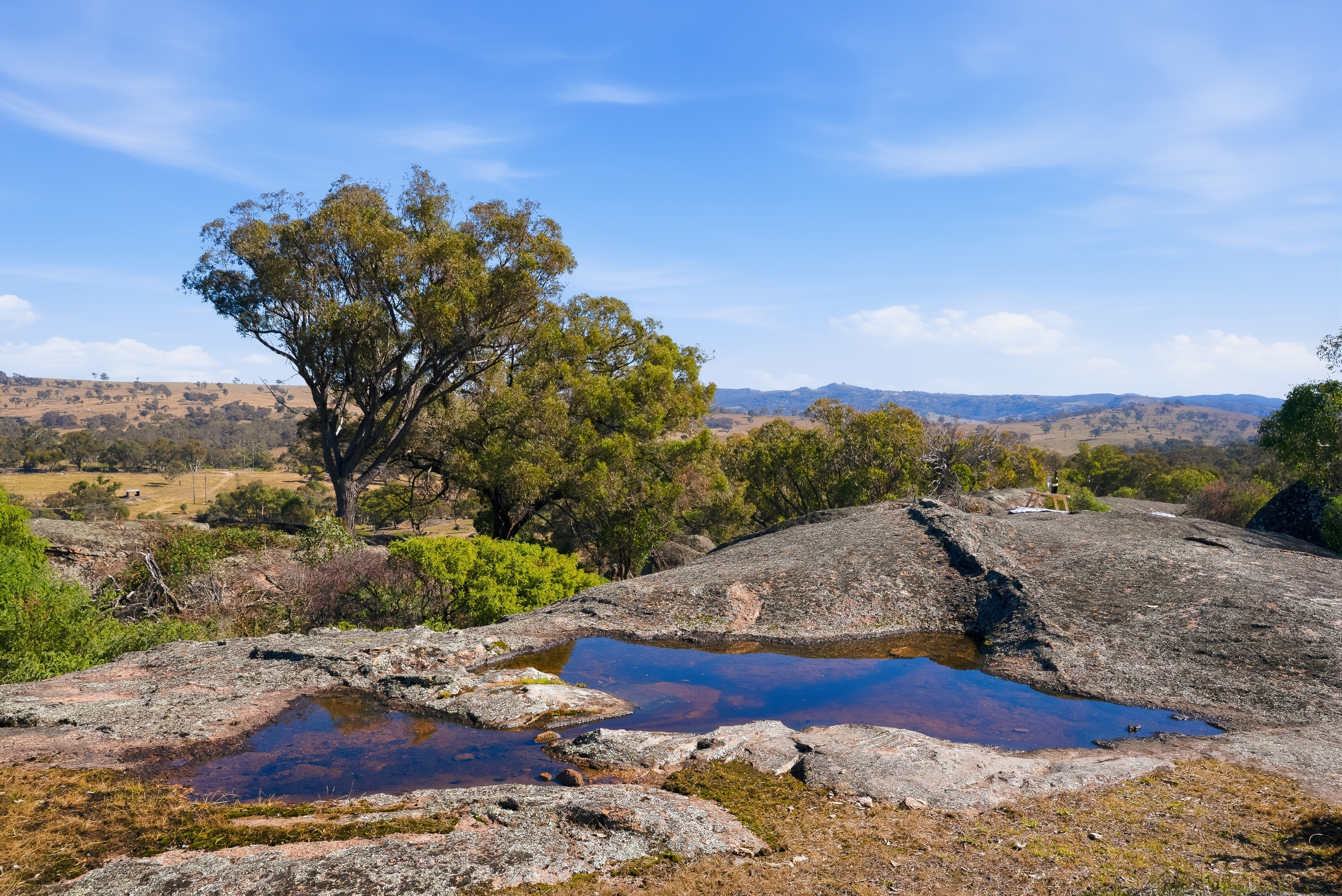 1460 Ophir Road, Rock Forest Auction by Farmbuy.com - image 27