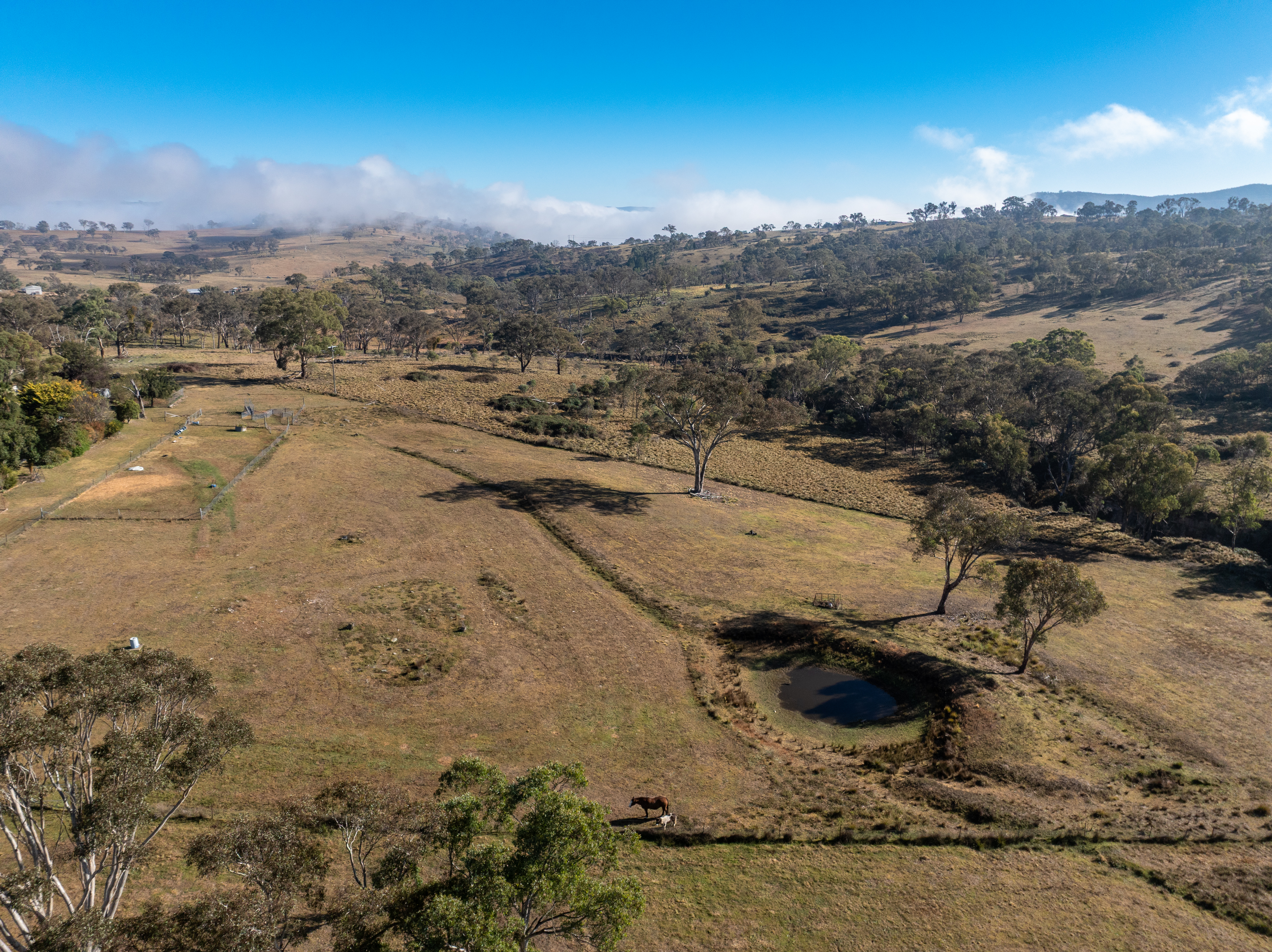 1460 Ophir Road, Rock Forest Auction by Farmbuy.com - image 29