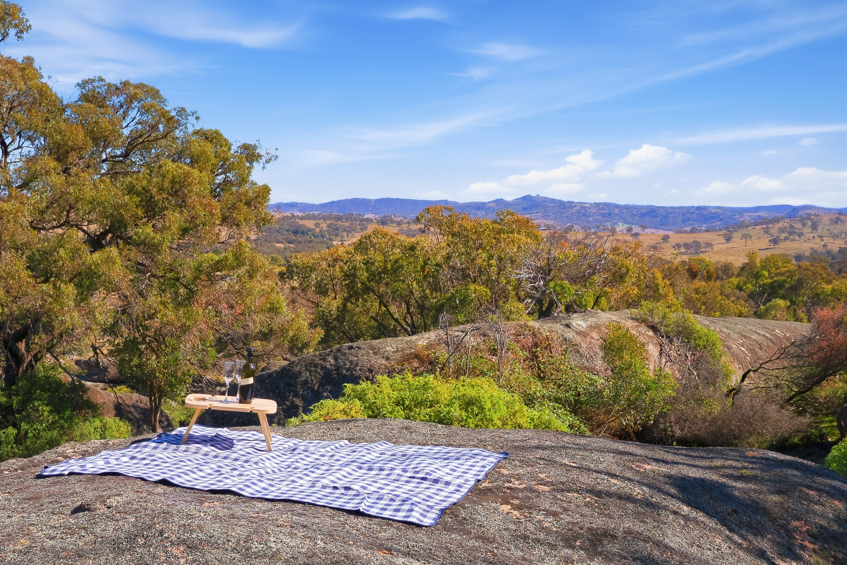 1460 Ophir Road, Rock Forest Auction by Farmbuy.com - image 30