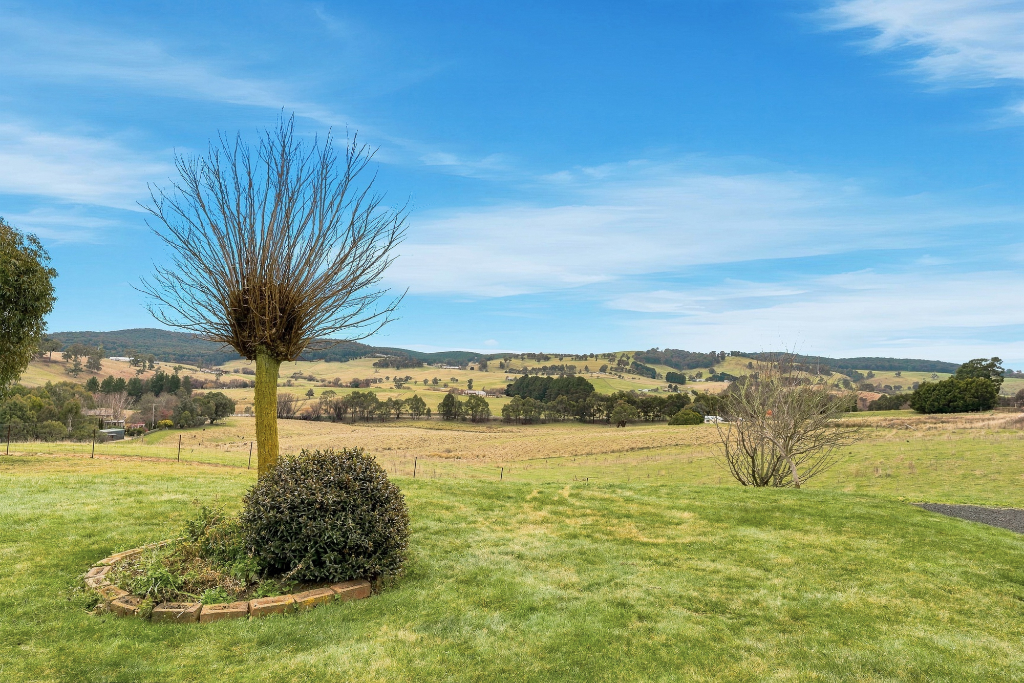 100 Wilson Drive, Oberon Auction by Farmbuy.com - image 16