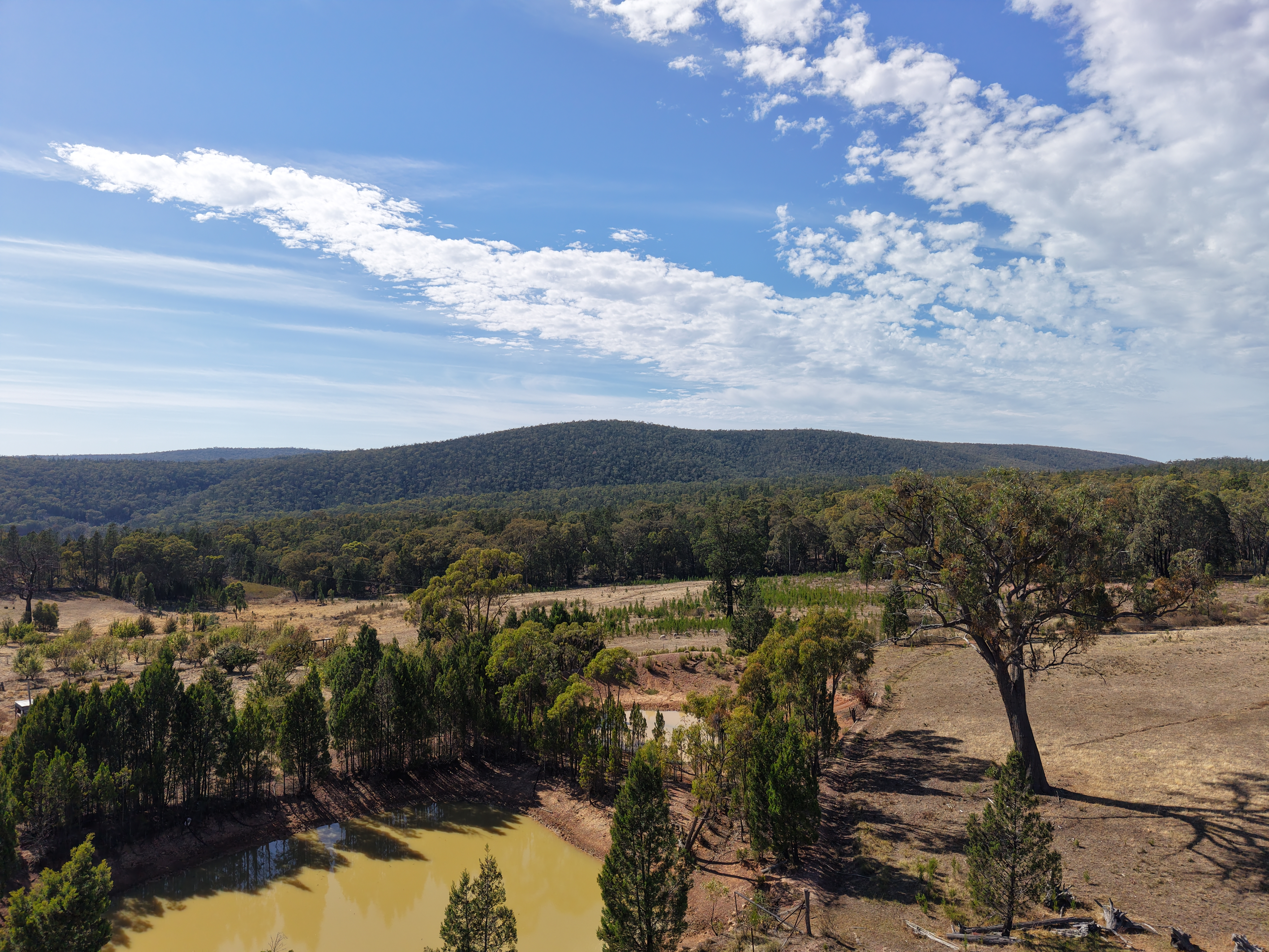 880 Major West Road&comma; &lpar;Bumbaldry&rpar;, Cowra NSW 2794